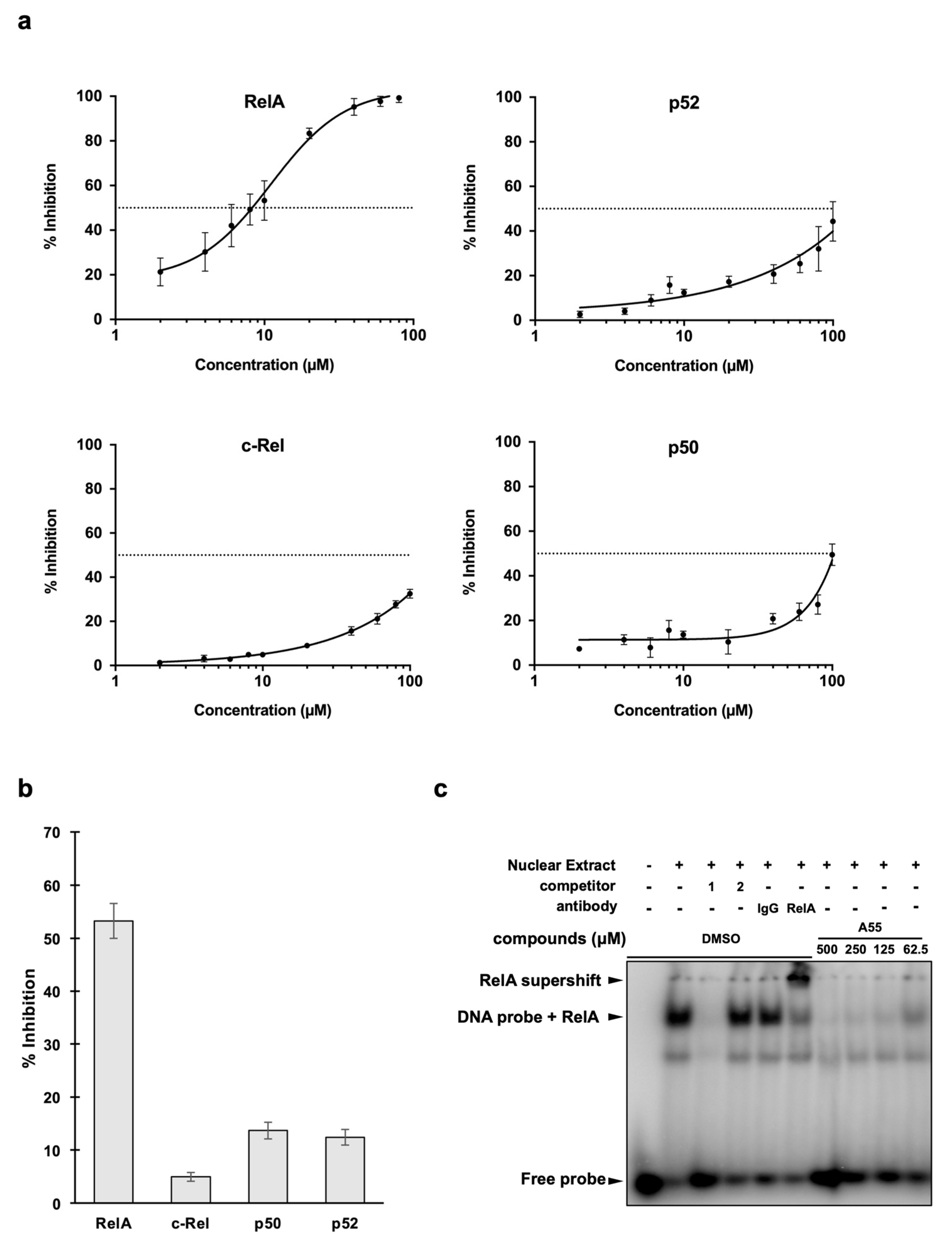 Ijms 21 09150 g003 Ijms 21 09150 g003