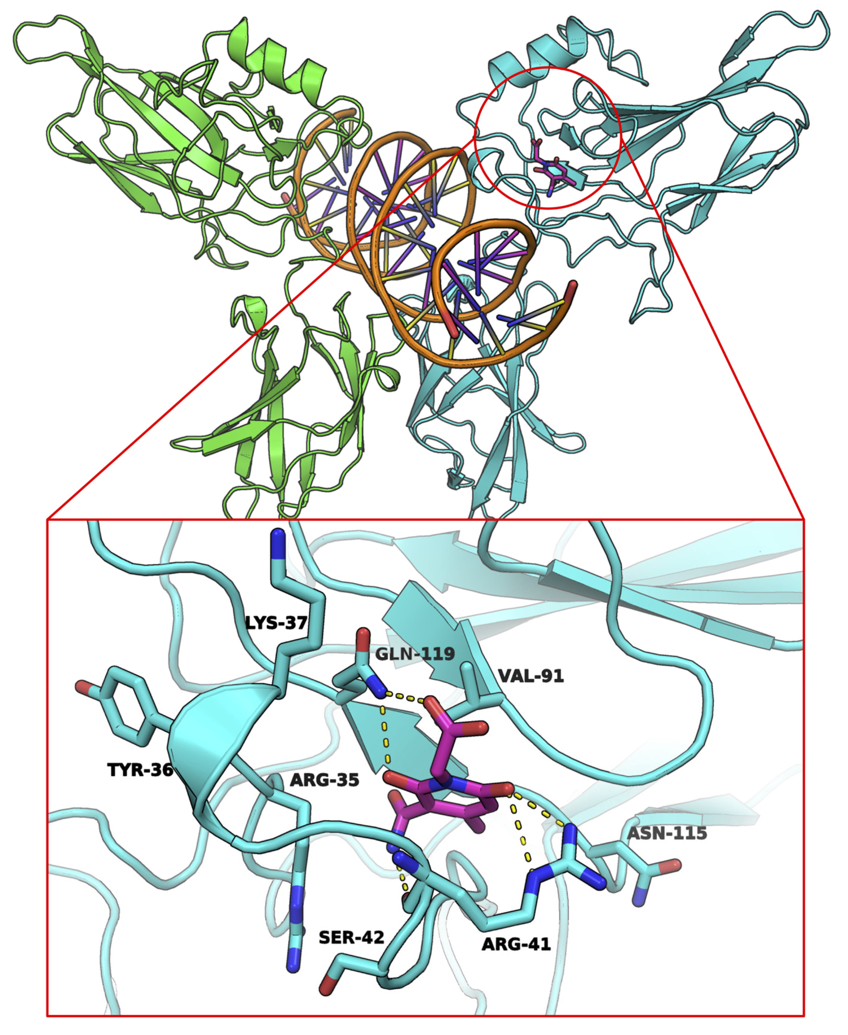 Ijms 21 09150 g004 Ijms 21 09150 g004