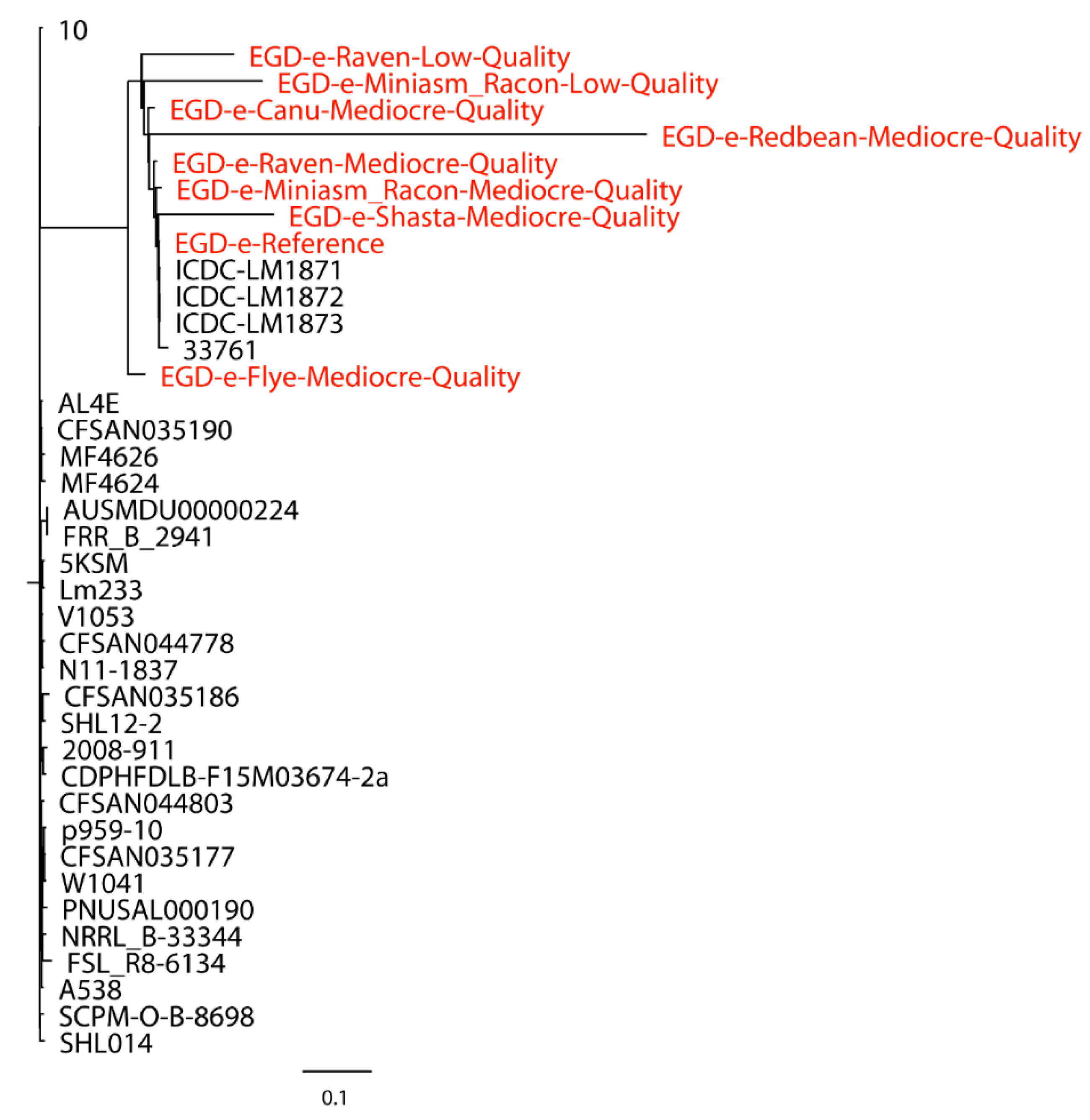 Ijms 21 09161 g001 Ijms 21 09161 g001