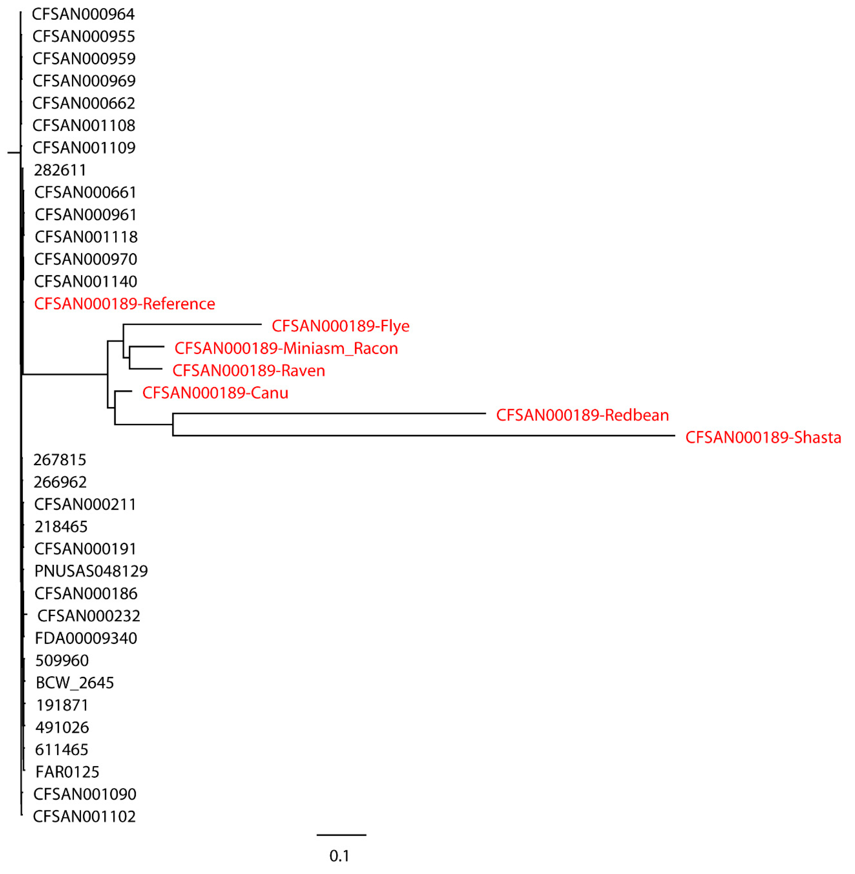 Ijms 21 09161 g003 Ijms 21 09161 g003