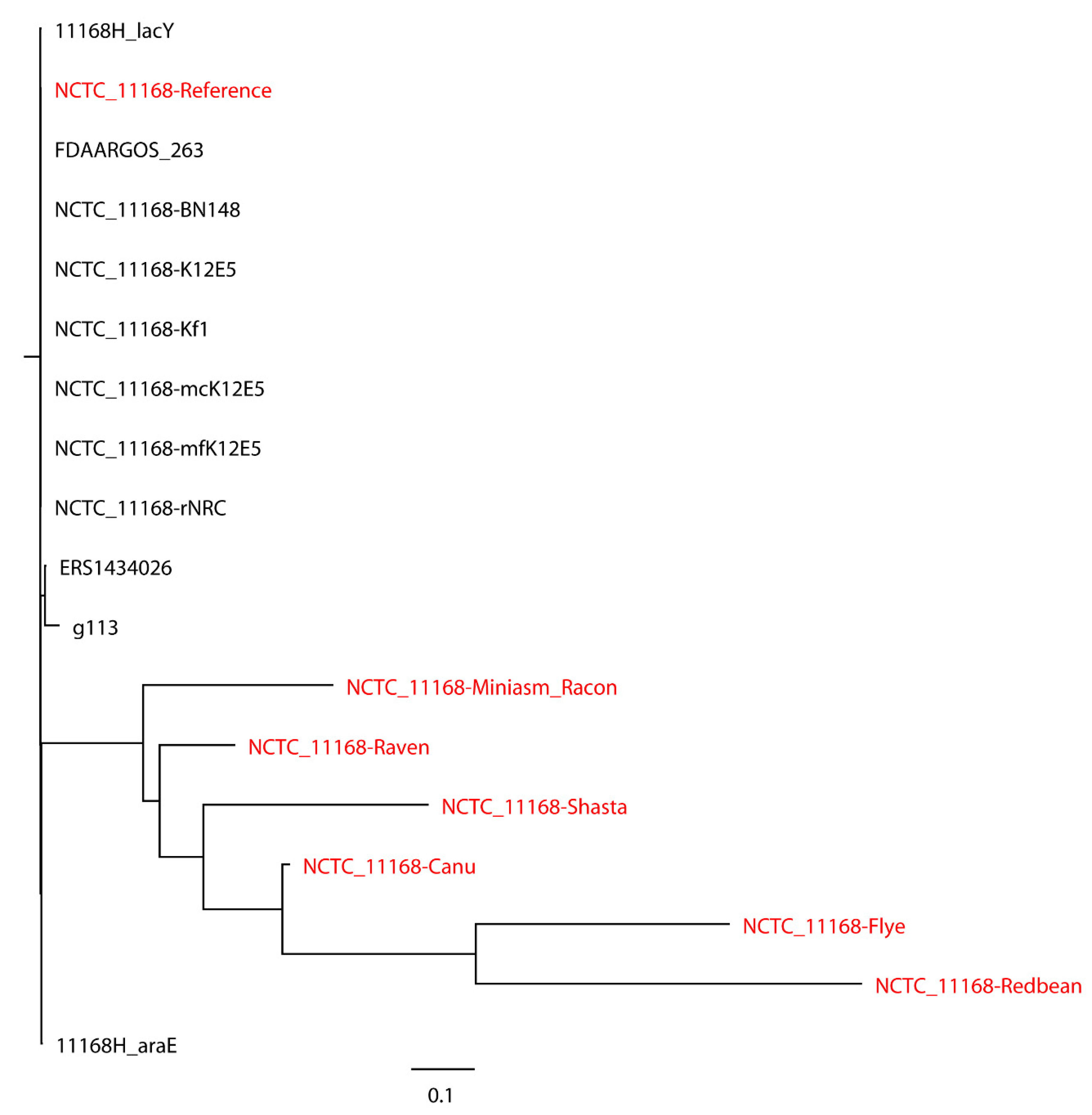 Ijms 21 09161 g004 Ijms 21 09161 g004