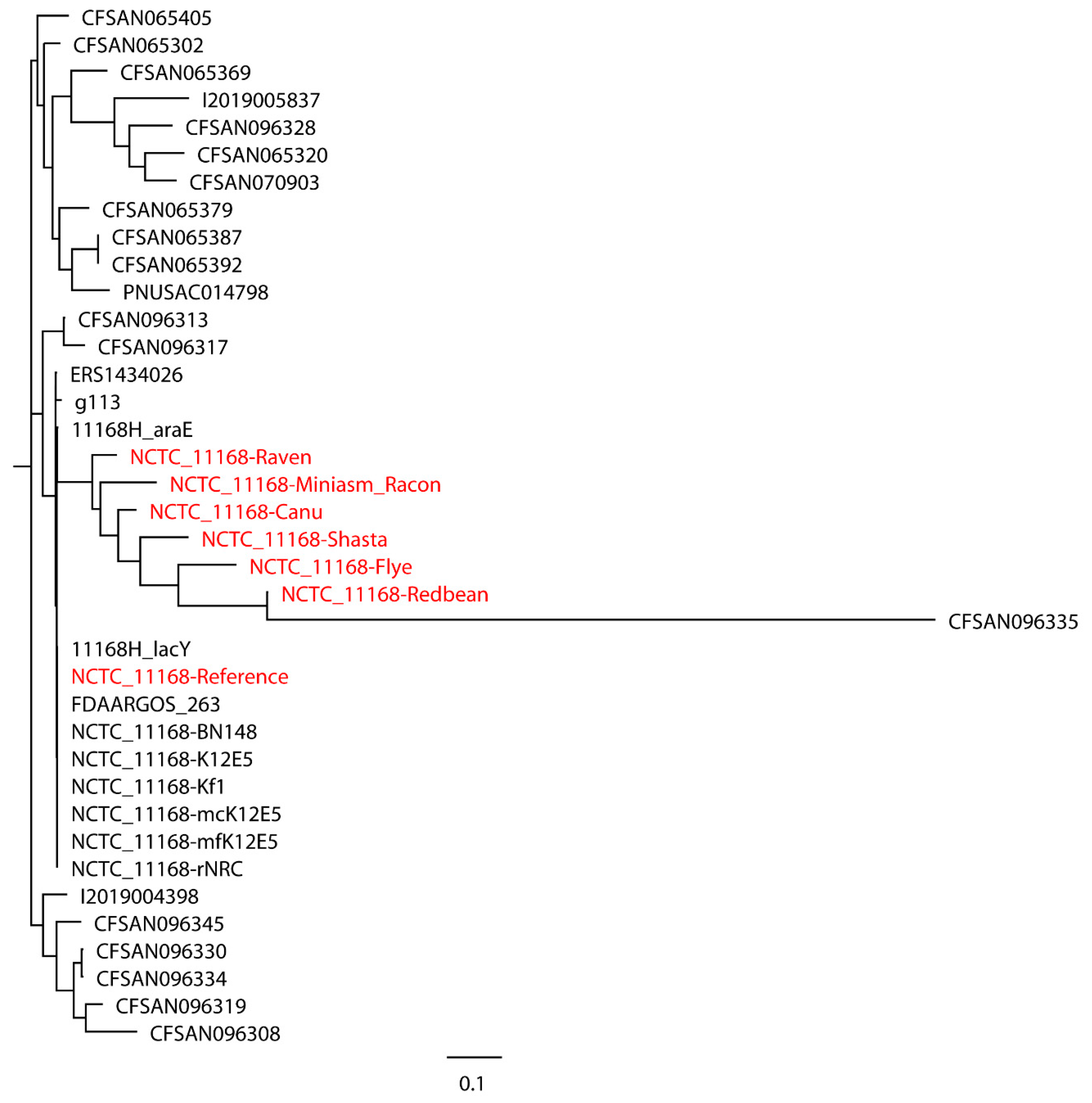 Ijms 21 09161 g005 Ijms 21 09161 g005