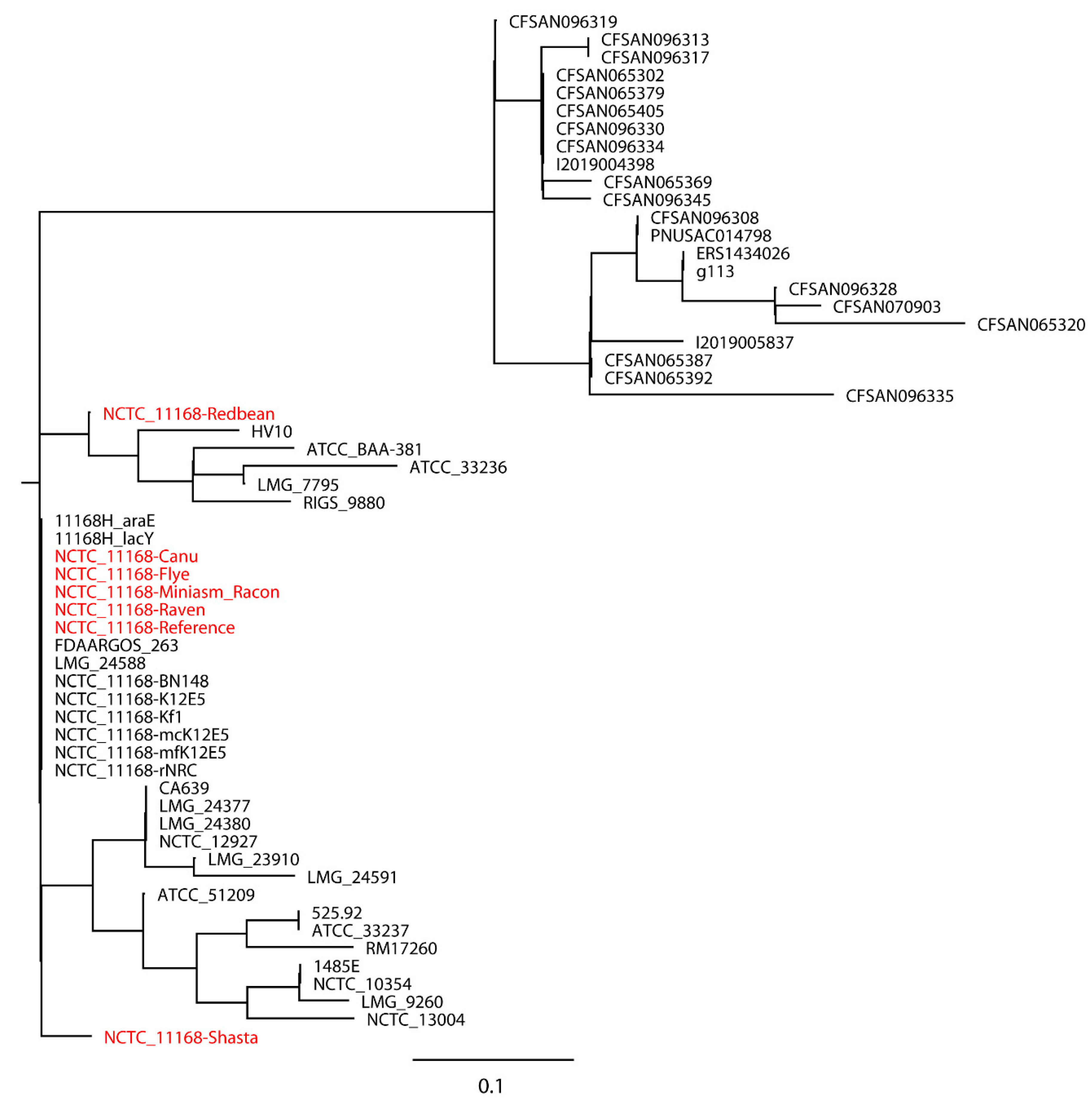 Ijms 21 09161 g006 Ijms 21 09161 g006