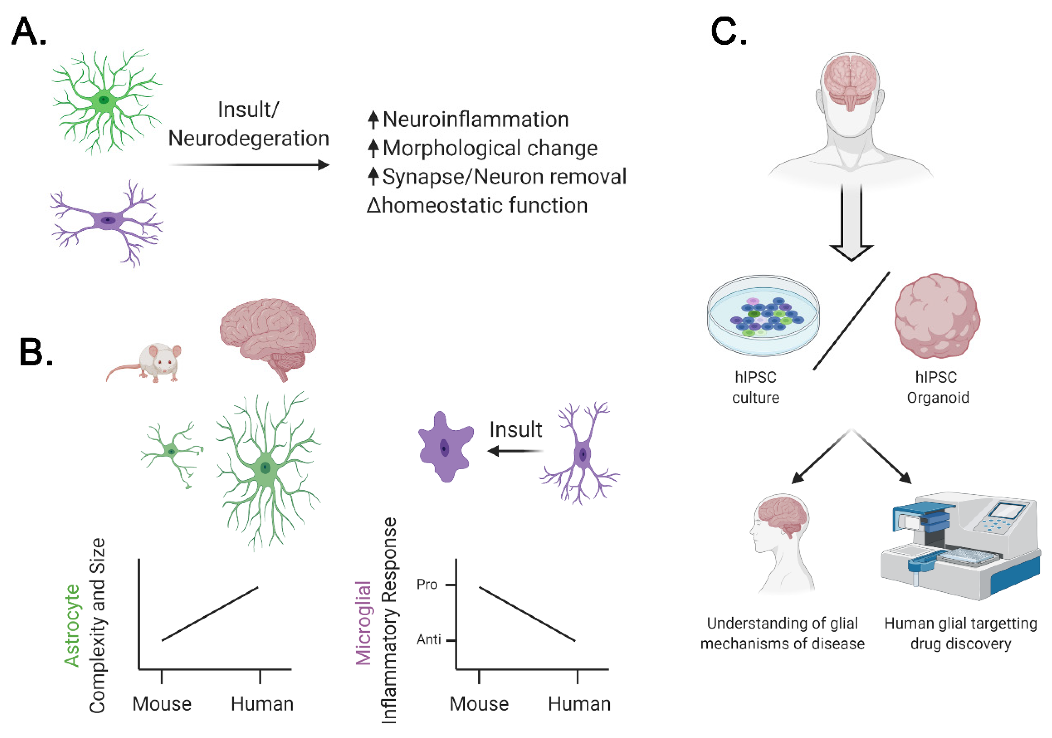 Ijms 21 09188 g001 Ijms 21 09188 g001