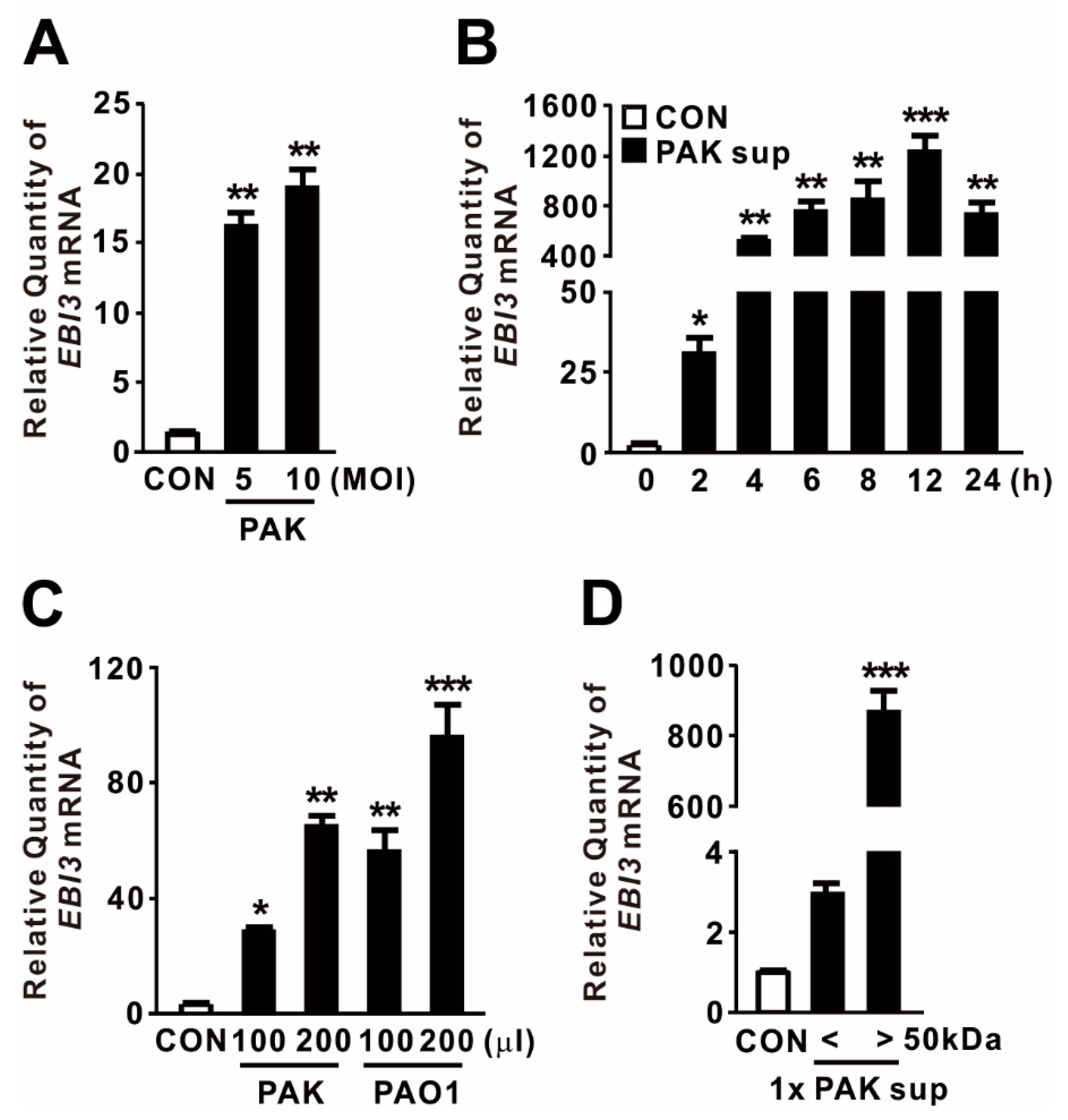 Ijms 21 09194 g001 Ijms 21 09194 g001