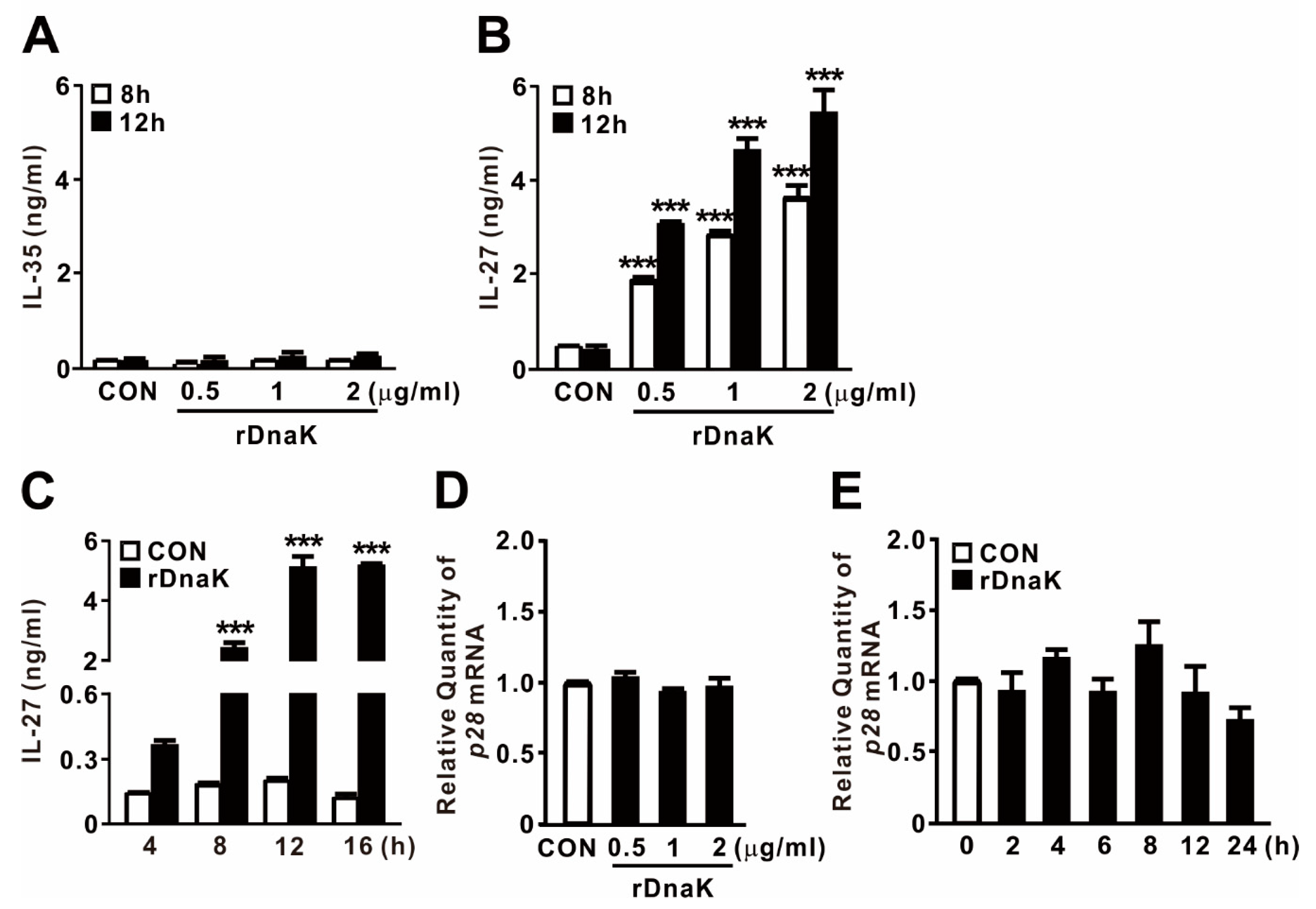 Ijms 21 09194 g003 Ijms 21 09194 g003