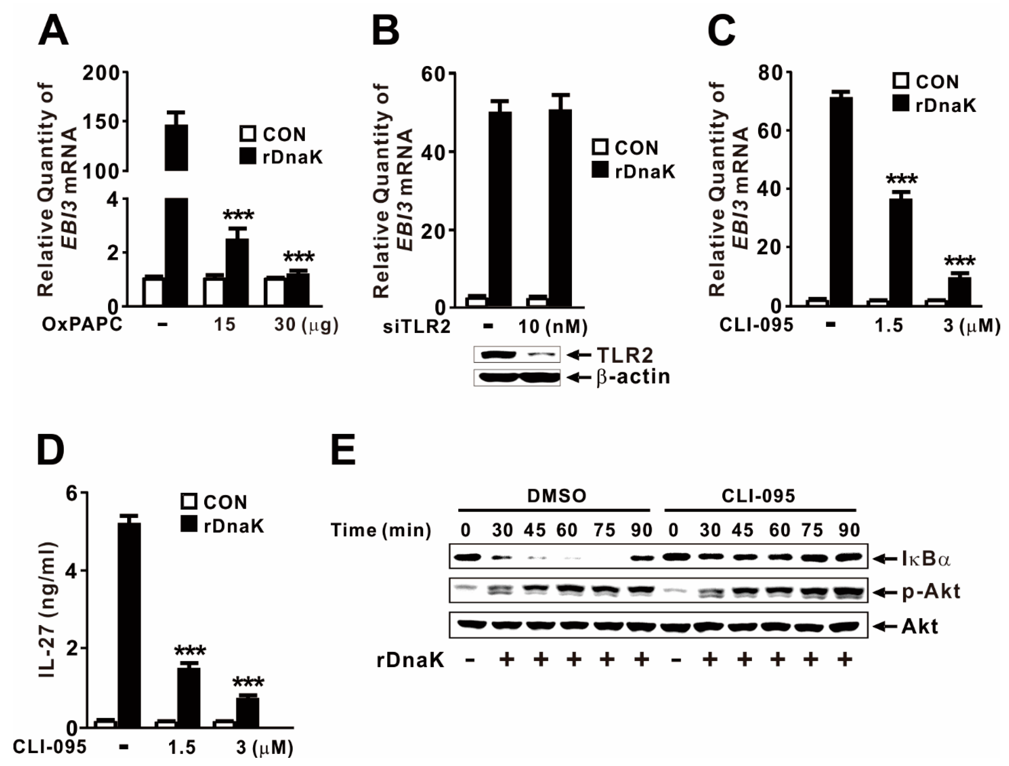 Ijms 21 09194 g006 Ijms 21 09194 g006