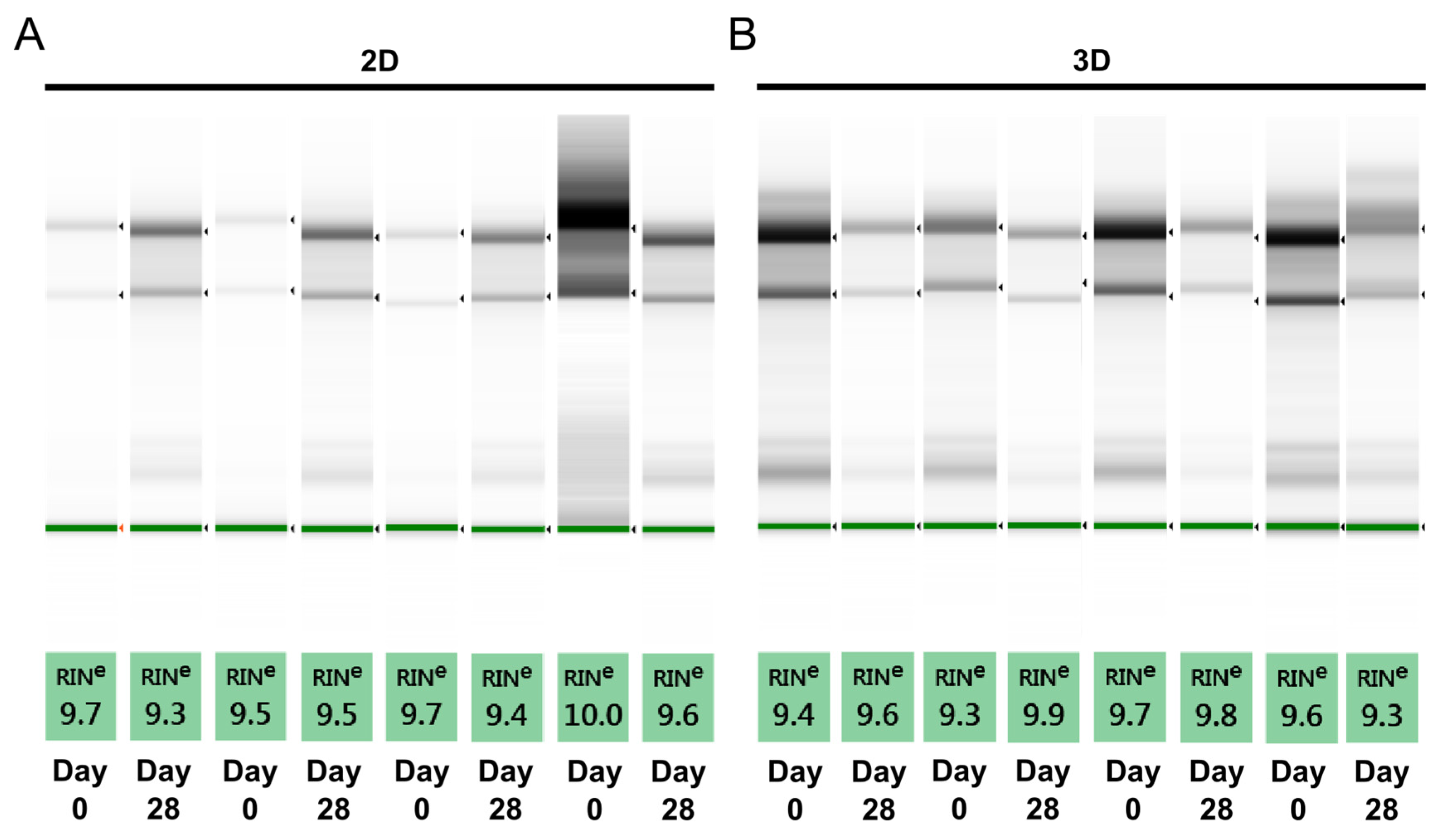 Ijms 21 09195 g002 Ijms 21 09195 g002