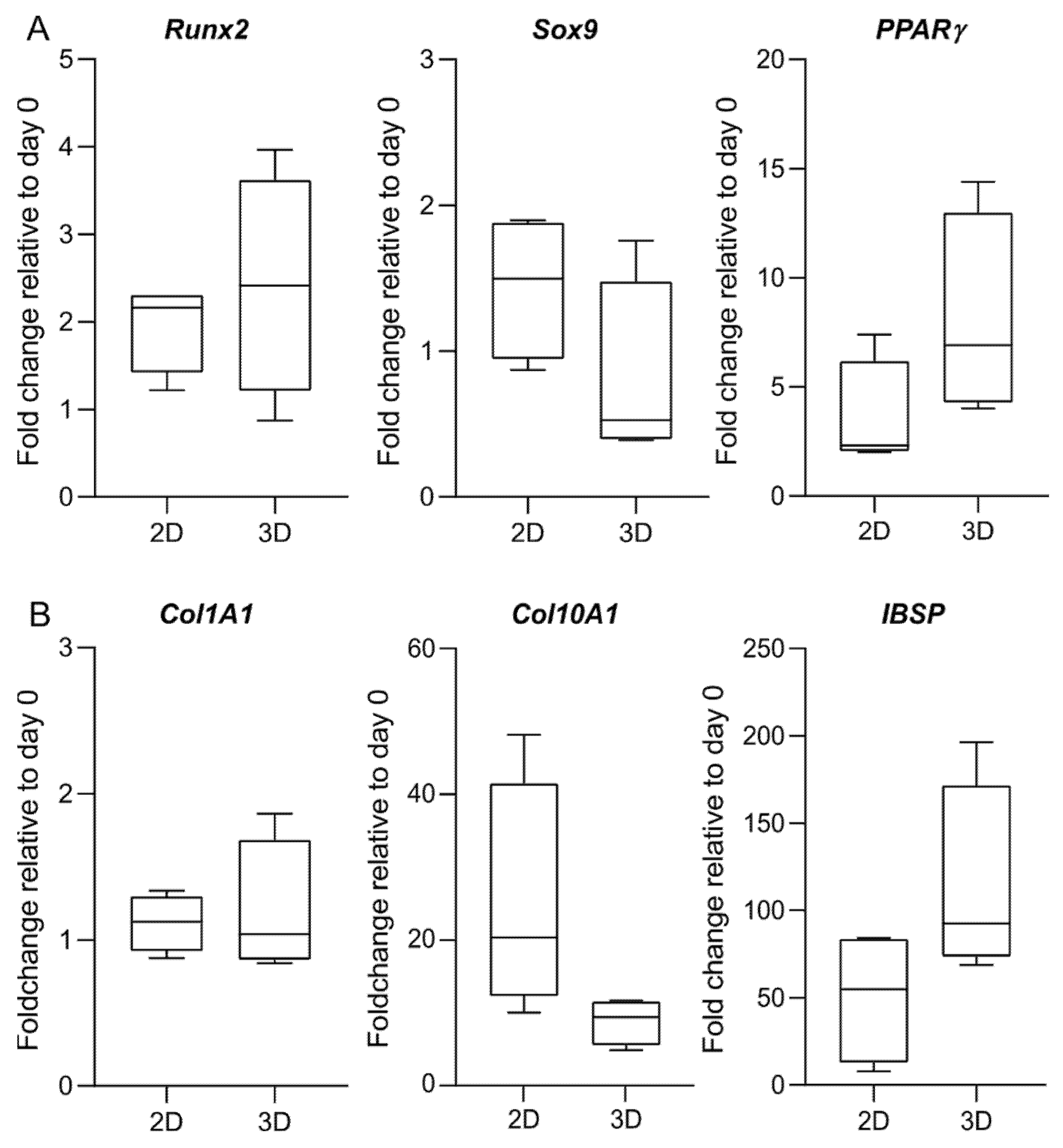 Ijms 21 09195 g008 Ijms 21 09195 g008