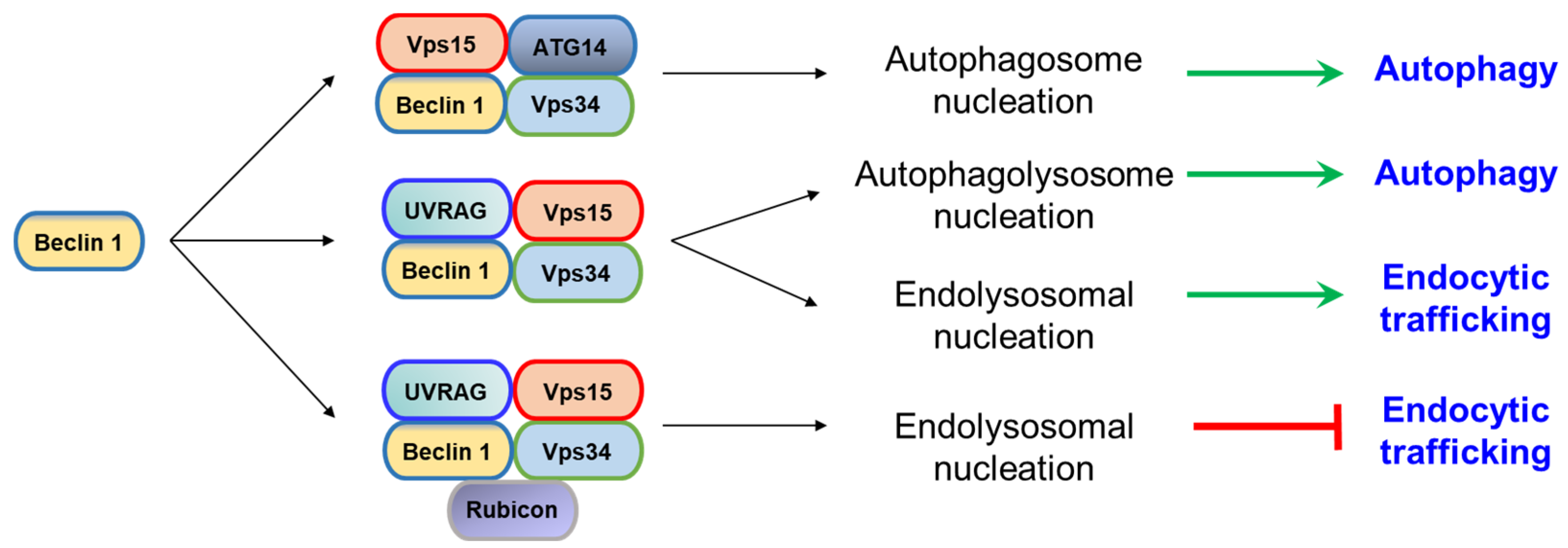 Ijms 21 09210 g001 Ijms 21 09210 g001