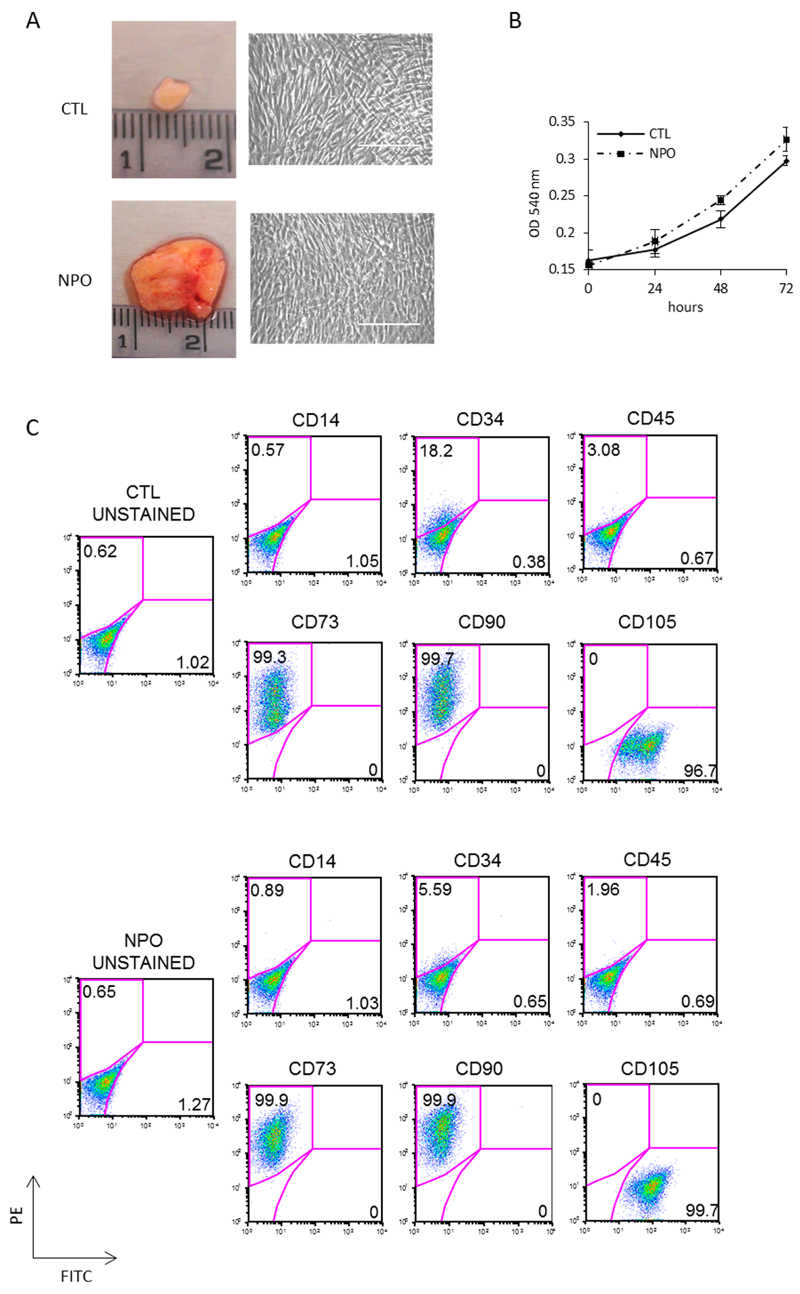 Ijms 21 09214 g001 Ijms 21 09214 g001