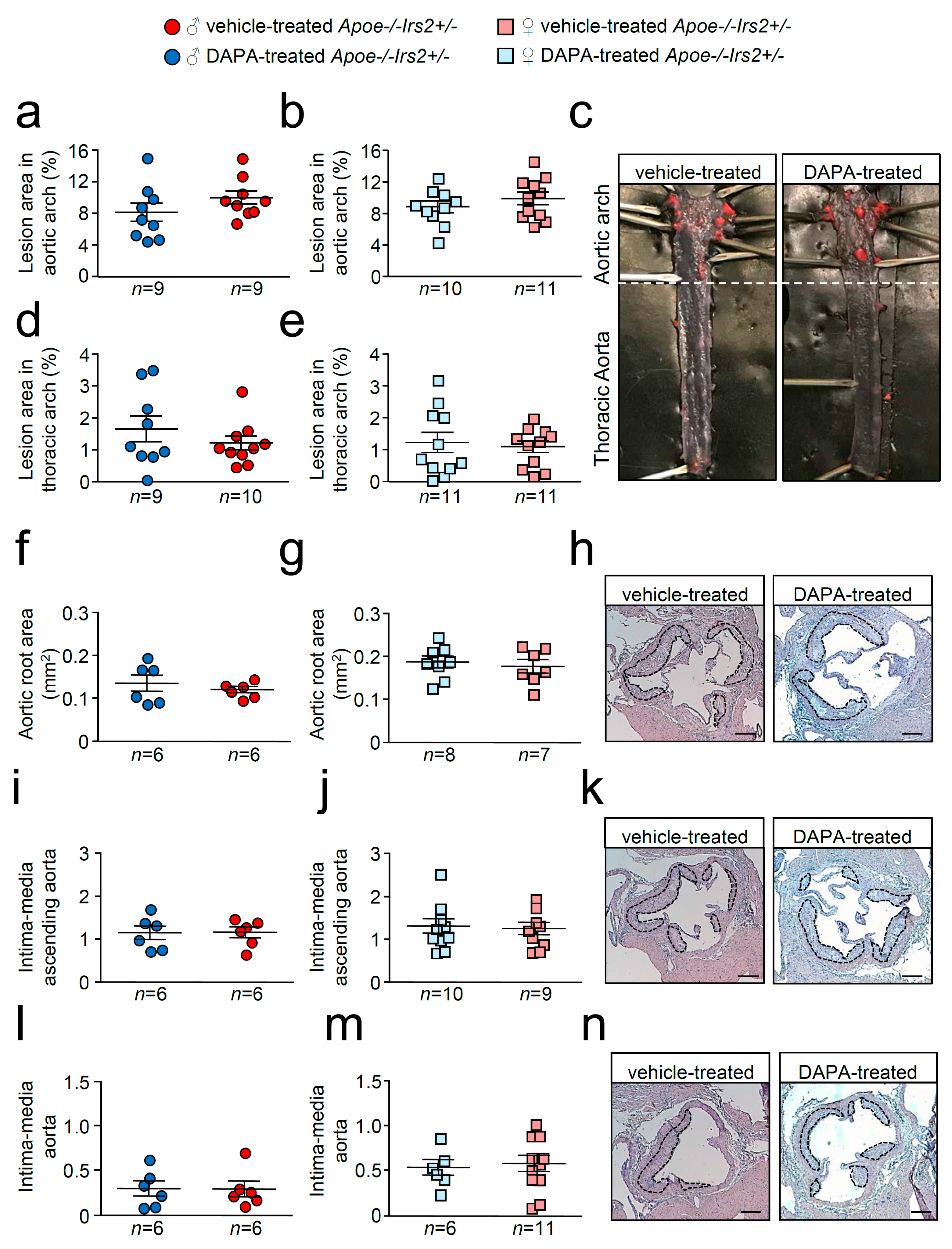 Ijms 21 09216 g004 Ijms 21 09216 g004