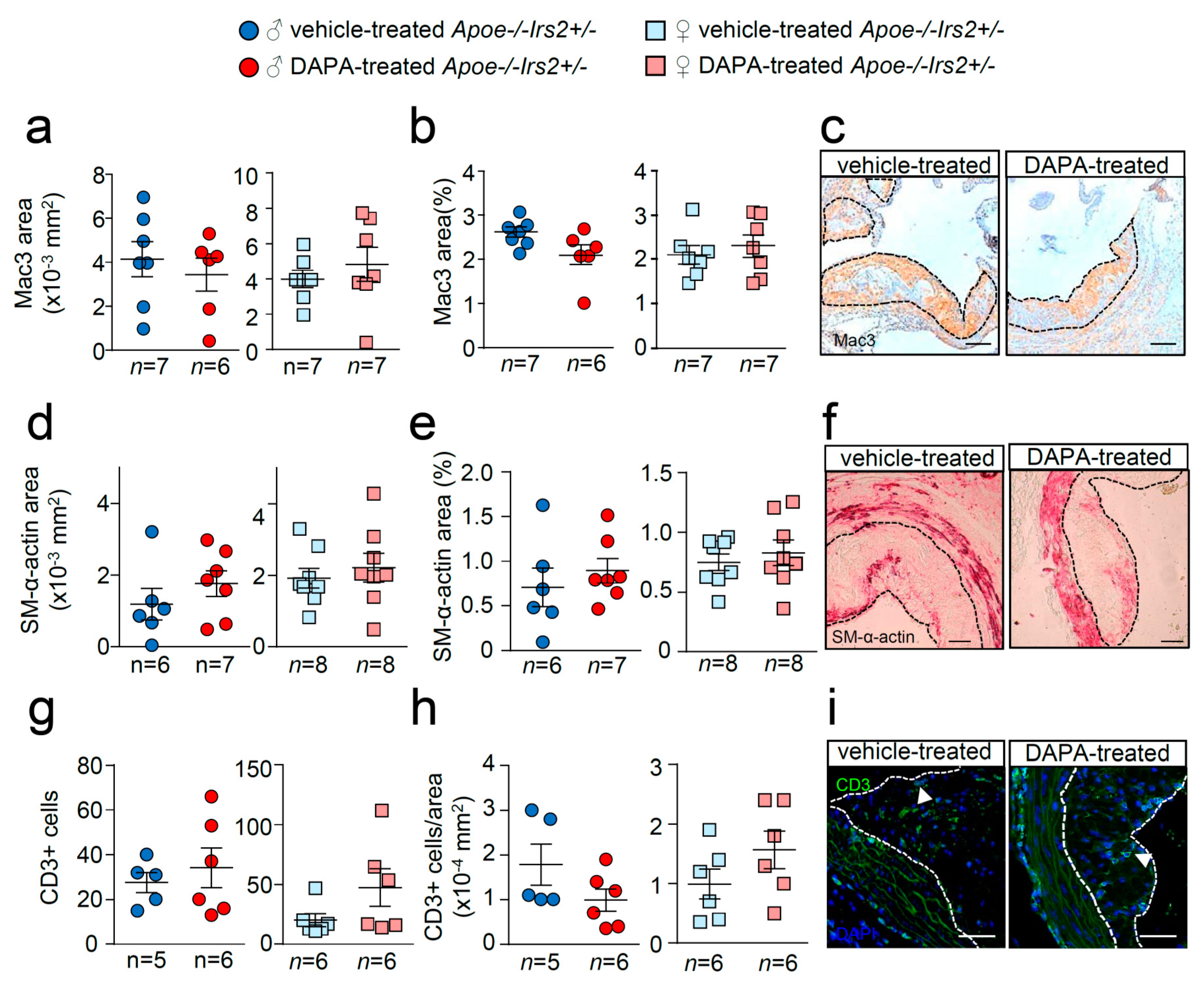 Ijms 21 09216 g005 Ijms 21 09216 g005