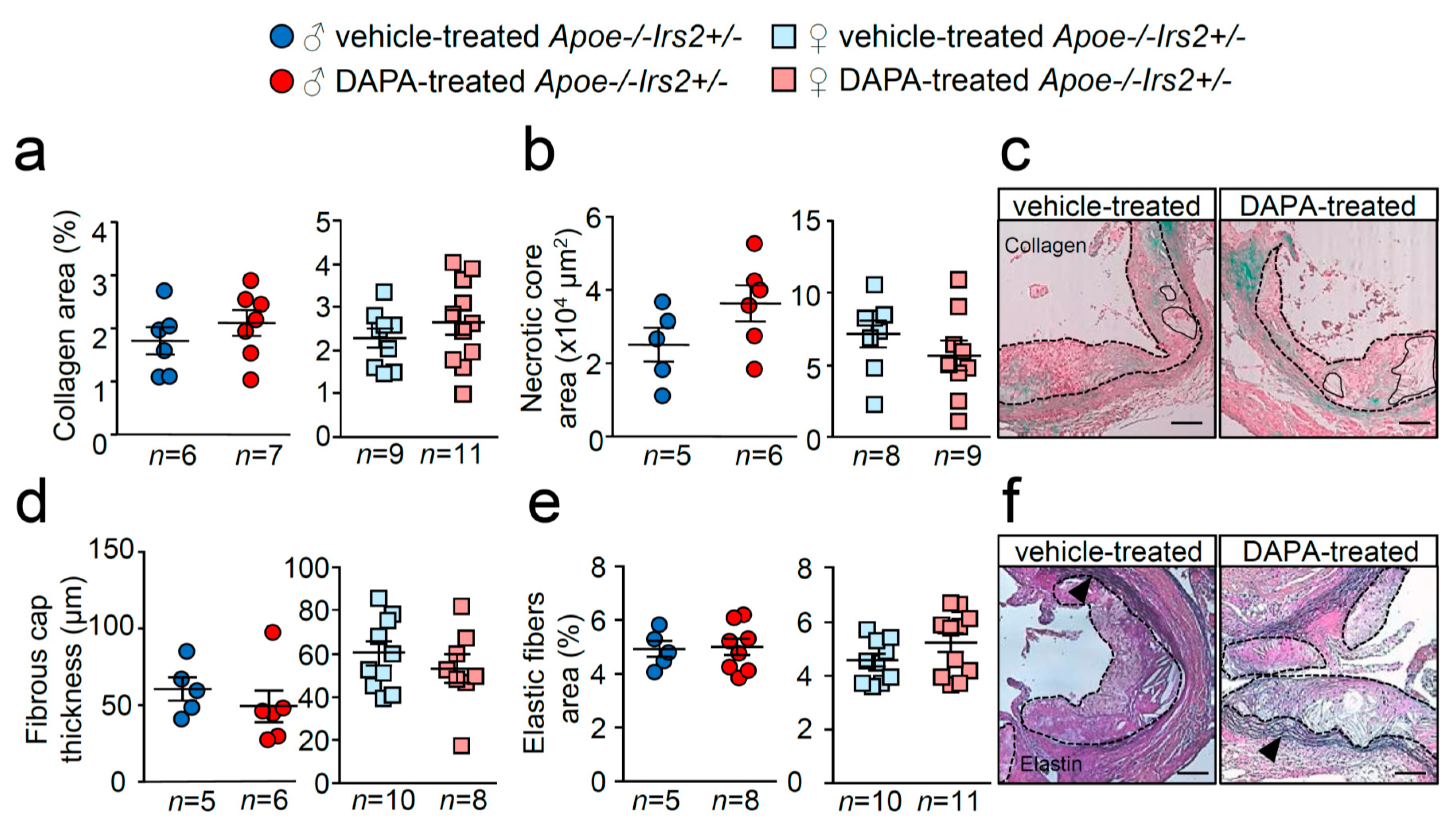 Ijms 21 09216 g006 Ijms 21 09216 g006