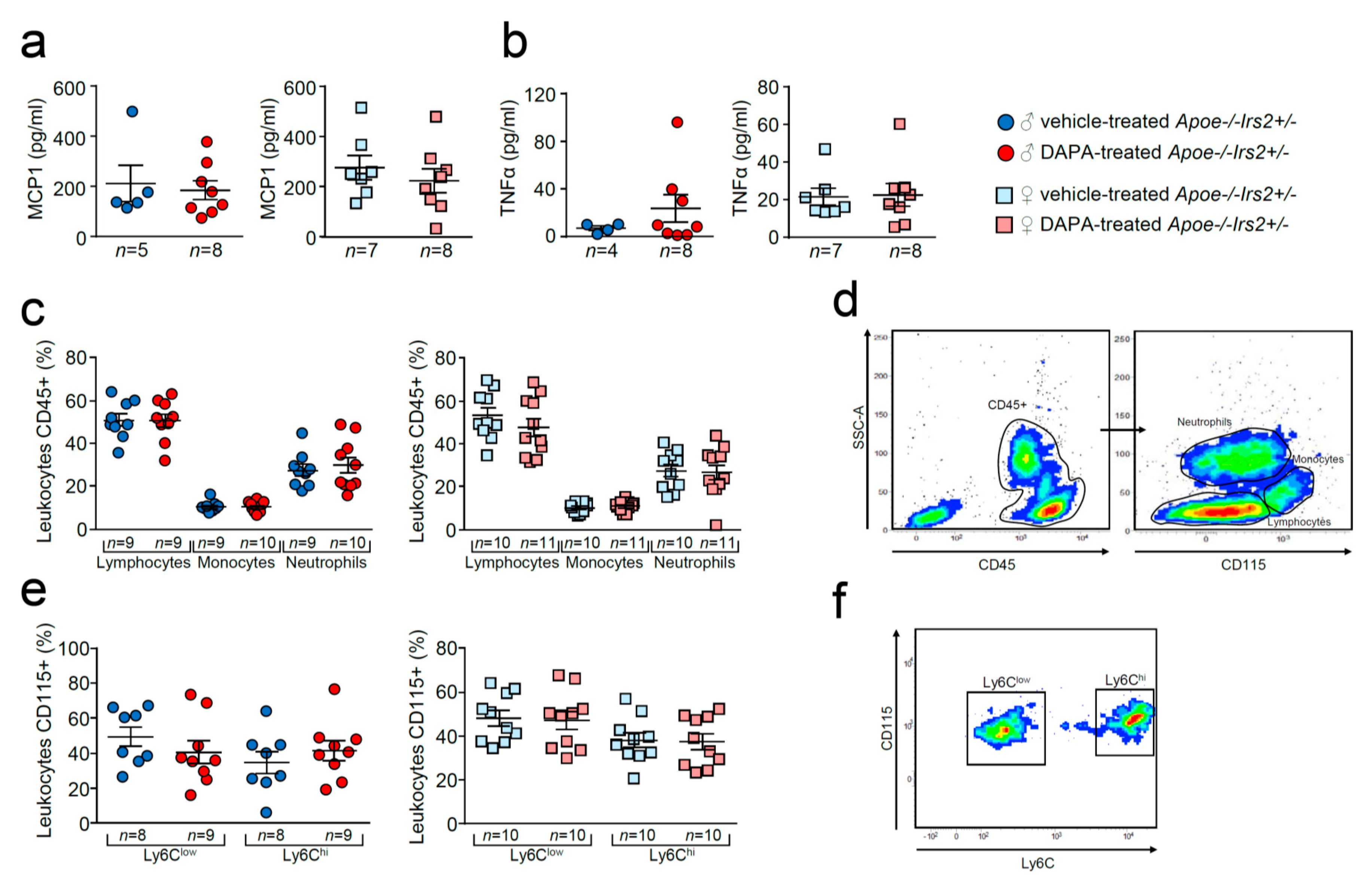 Ijms 21 09216 g007 Ijms 21 09216 g007