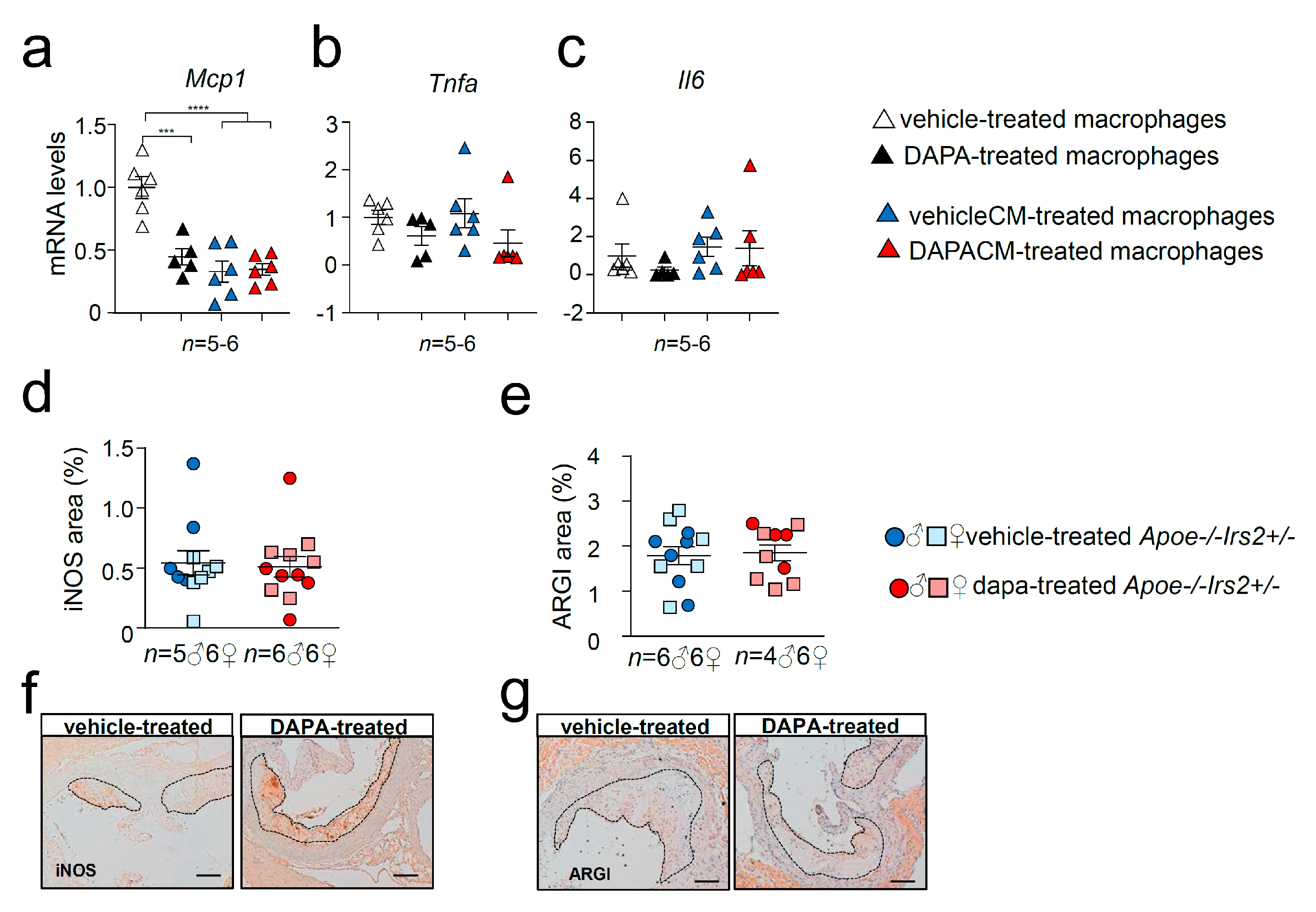Ijms 21 09216 g008 Ijms 21 09216 g008