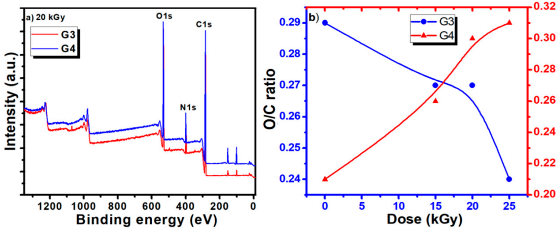 Ijms 21 09236 g005 Ijms 21 09236 g005
