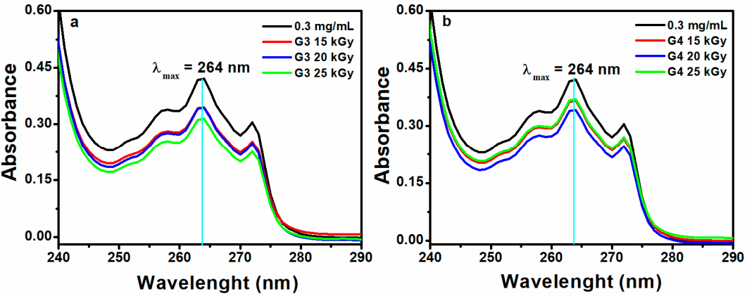 Ijms 21 09236 g010 Ijms 21 09236 g010