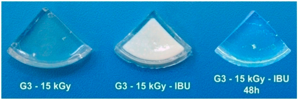 Ijms 21 09236 g011 Ijms 21 09236 g011