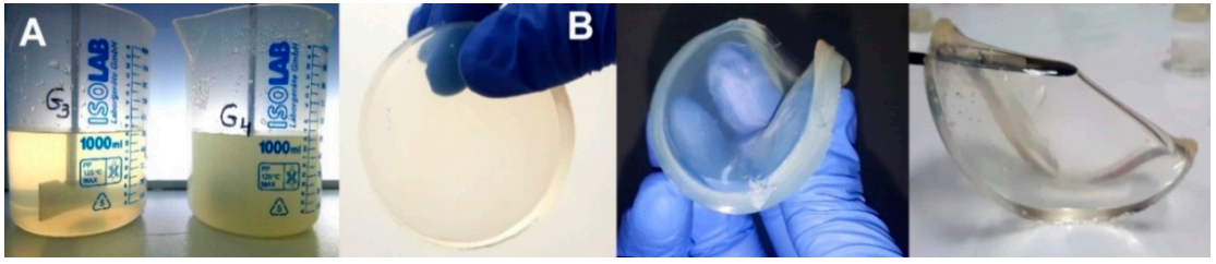 Ijms 21 09236 g013 Ijms 21 09236 g013