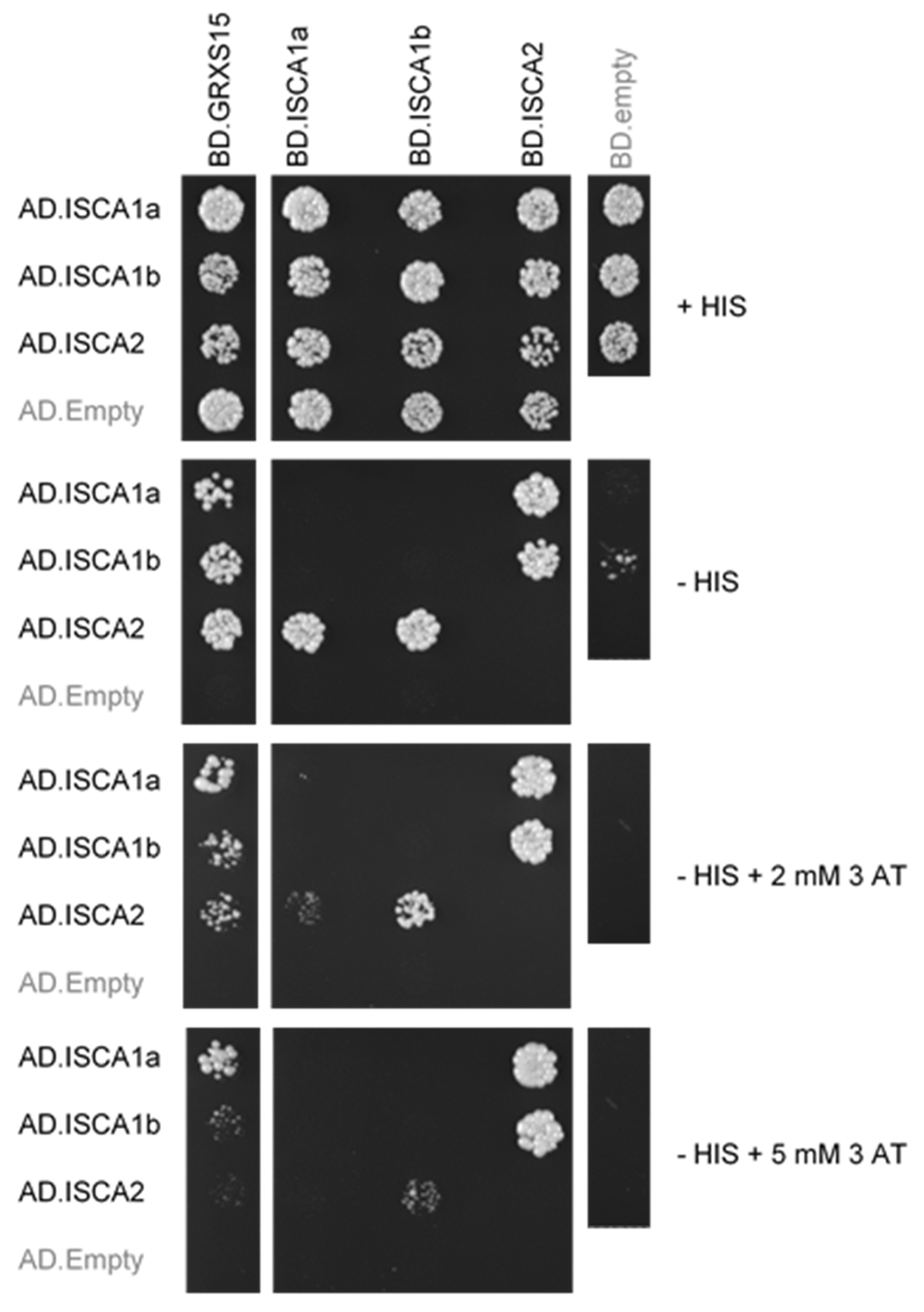 Ijms 21 09237 g001