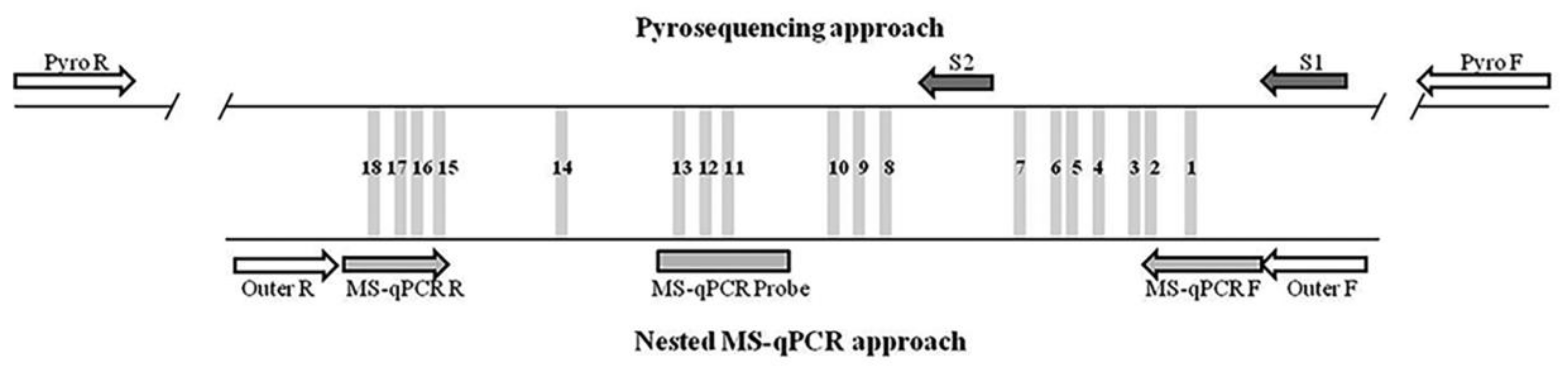 Ijms 21 09242 g001 Ijms 21 09242 g001