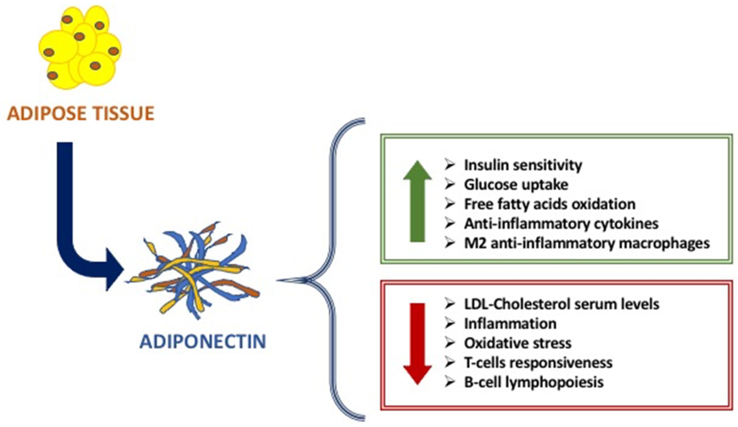 Ijms 21 09255 g001 Ijms 21 09255 g001