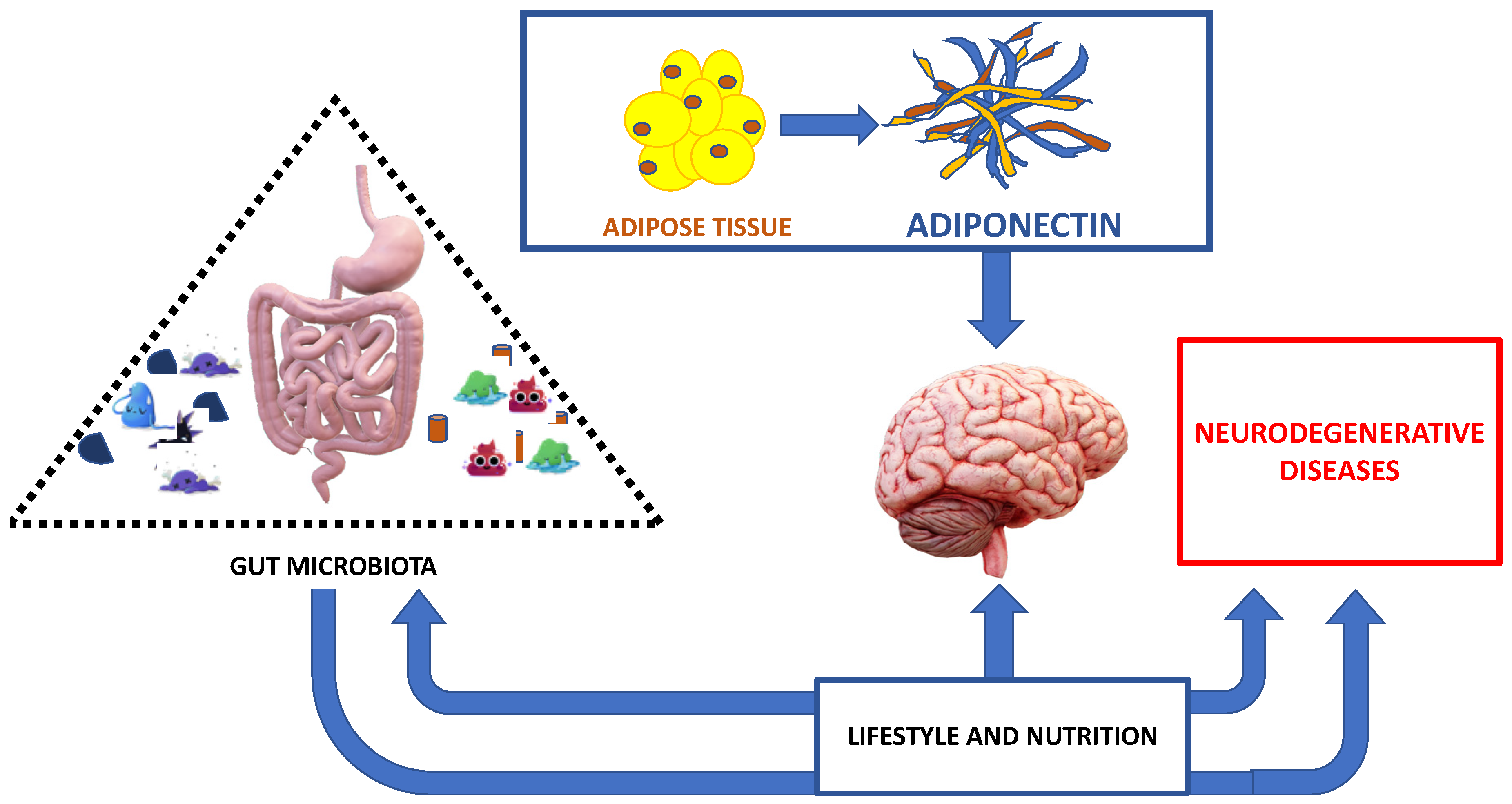 Ijms 21 09255 g002 Ijms 21 09255 g002