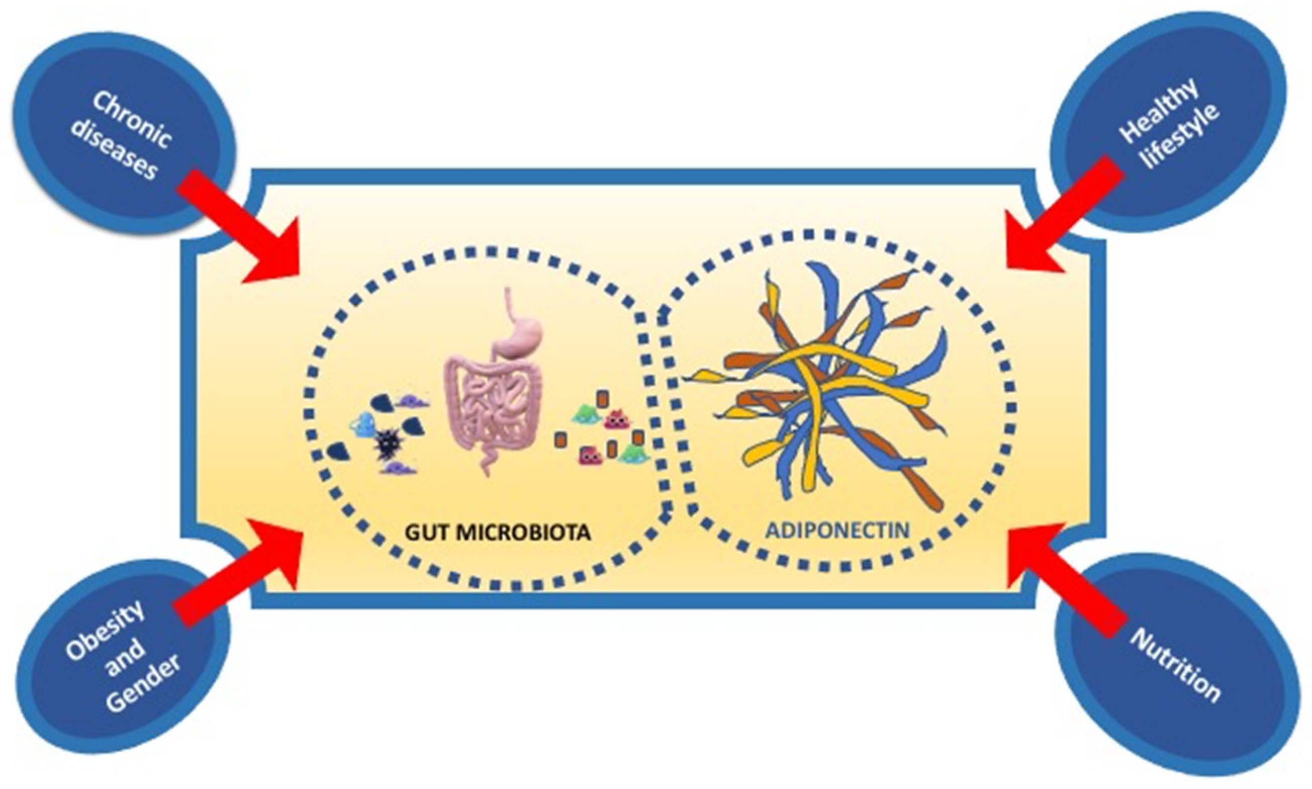 Ijms 21 09255 g003 Ijms 21 09255 g003