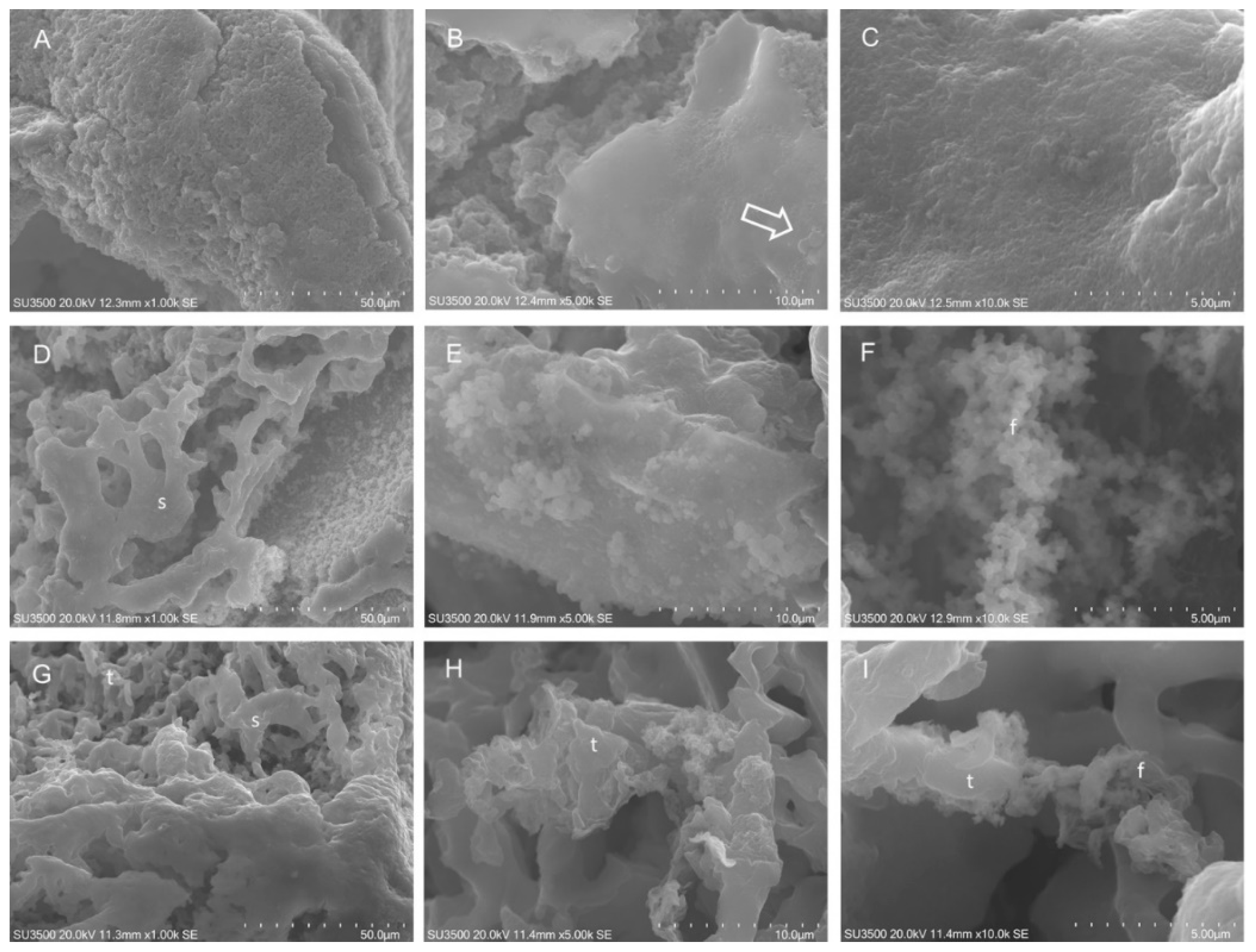 Ijms 21 09258 g003 Ijms 21 09258 g003