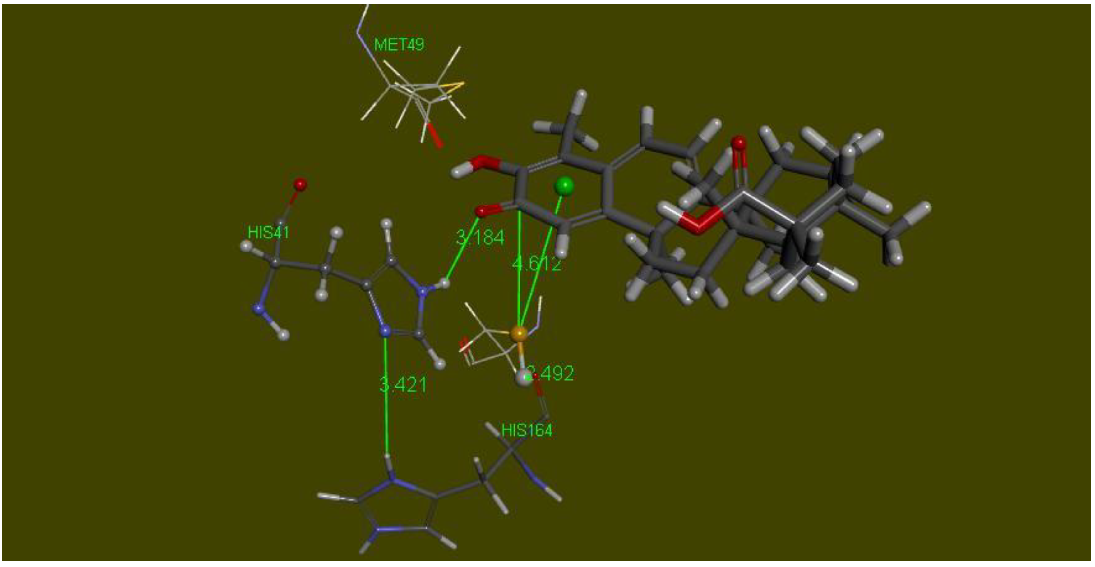 Ijms 21 09266 g013 Ijms 21 09266 g013