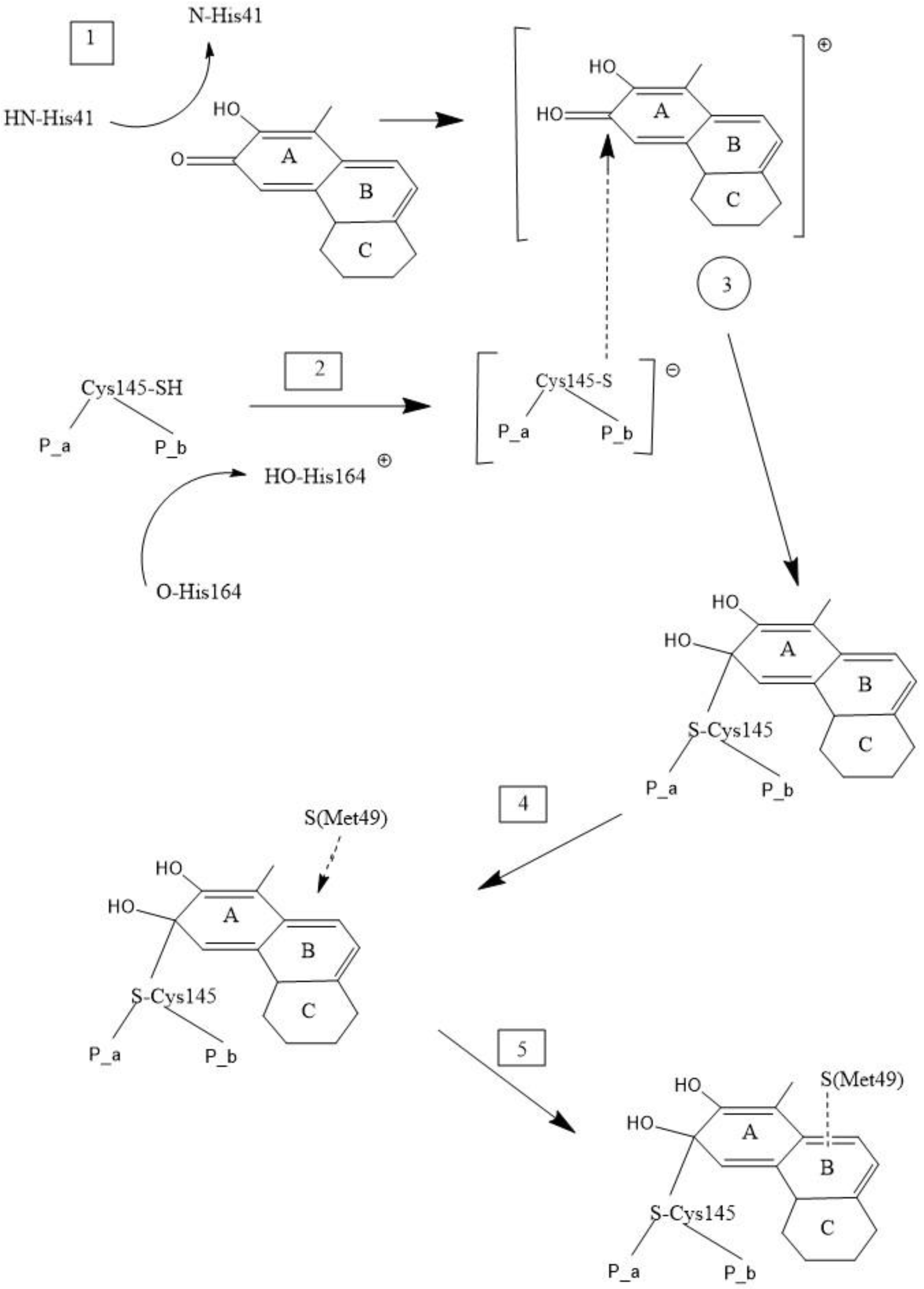 Ijms 21 09266 sch002 Ijms 21 09266 sch002