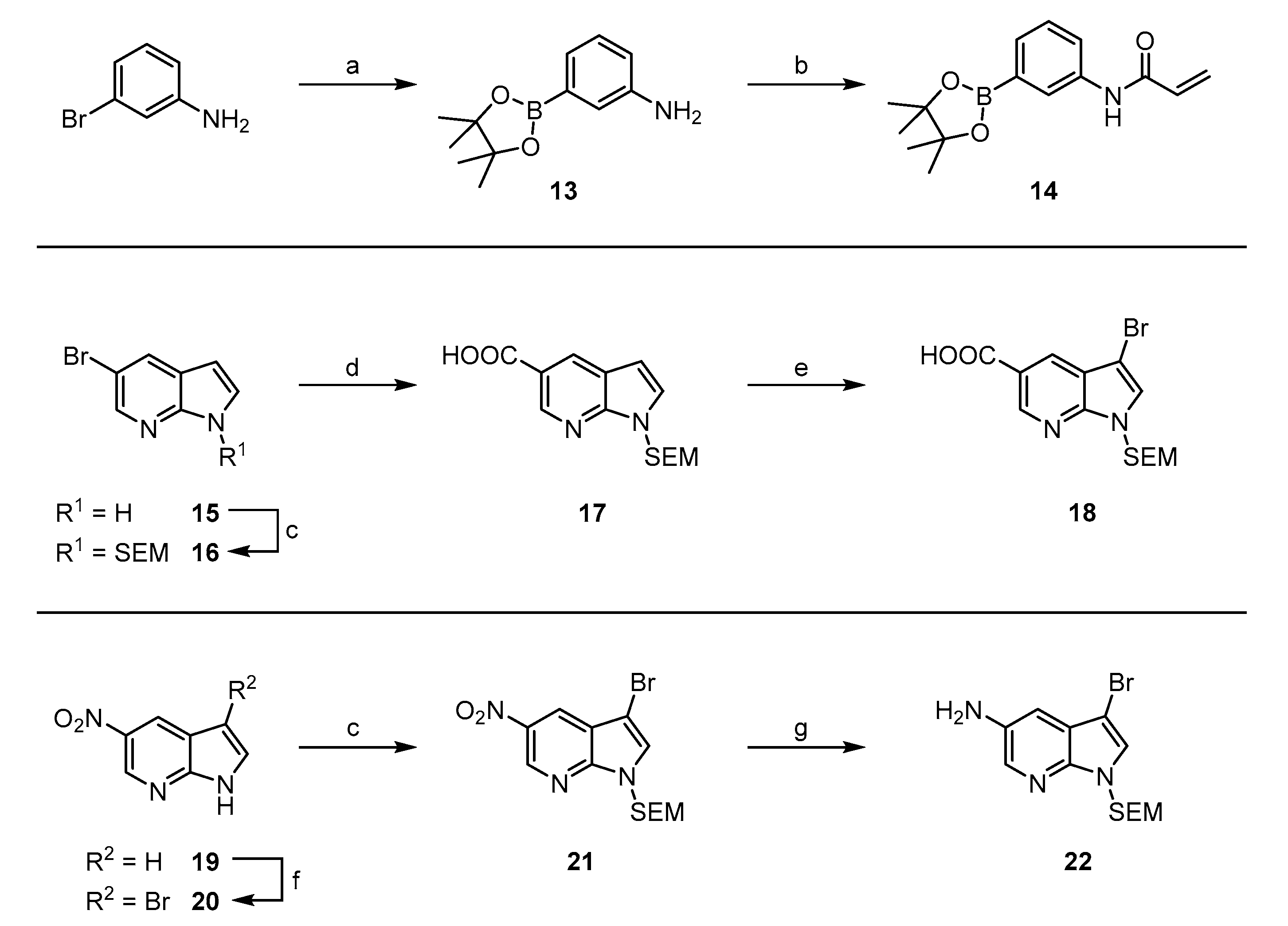 Ijms 21 09269 sch001