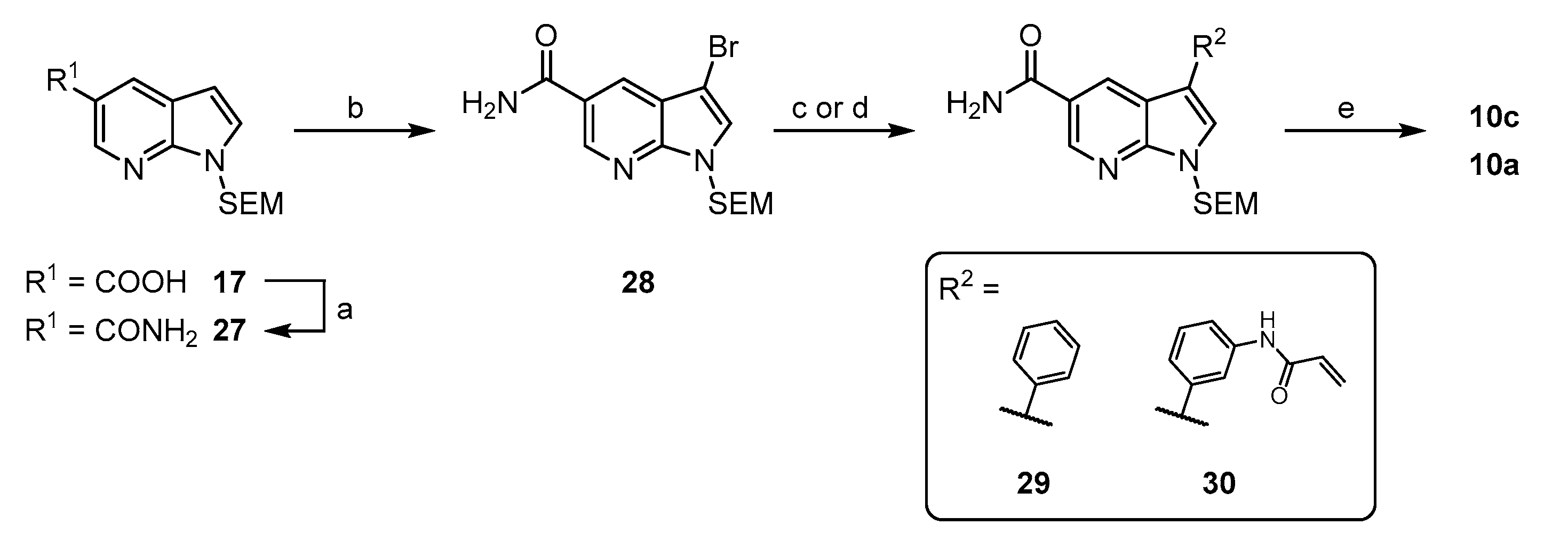 Ijms 21 09269 sch003