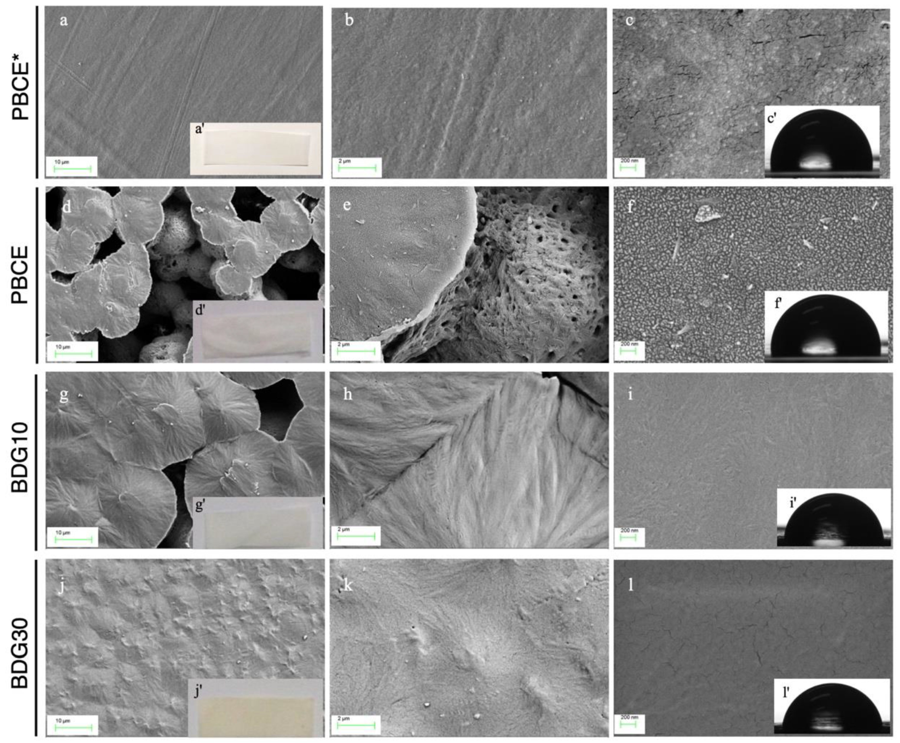 Ijms 21 09274 g001 Ijms 21 09274 g001