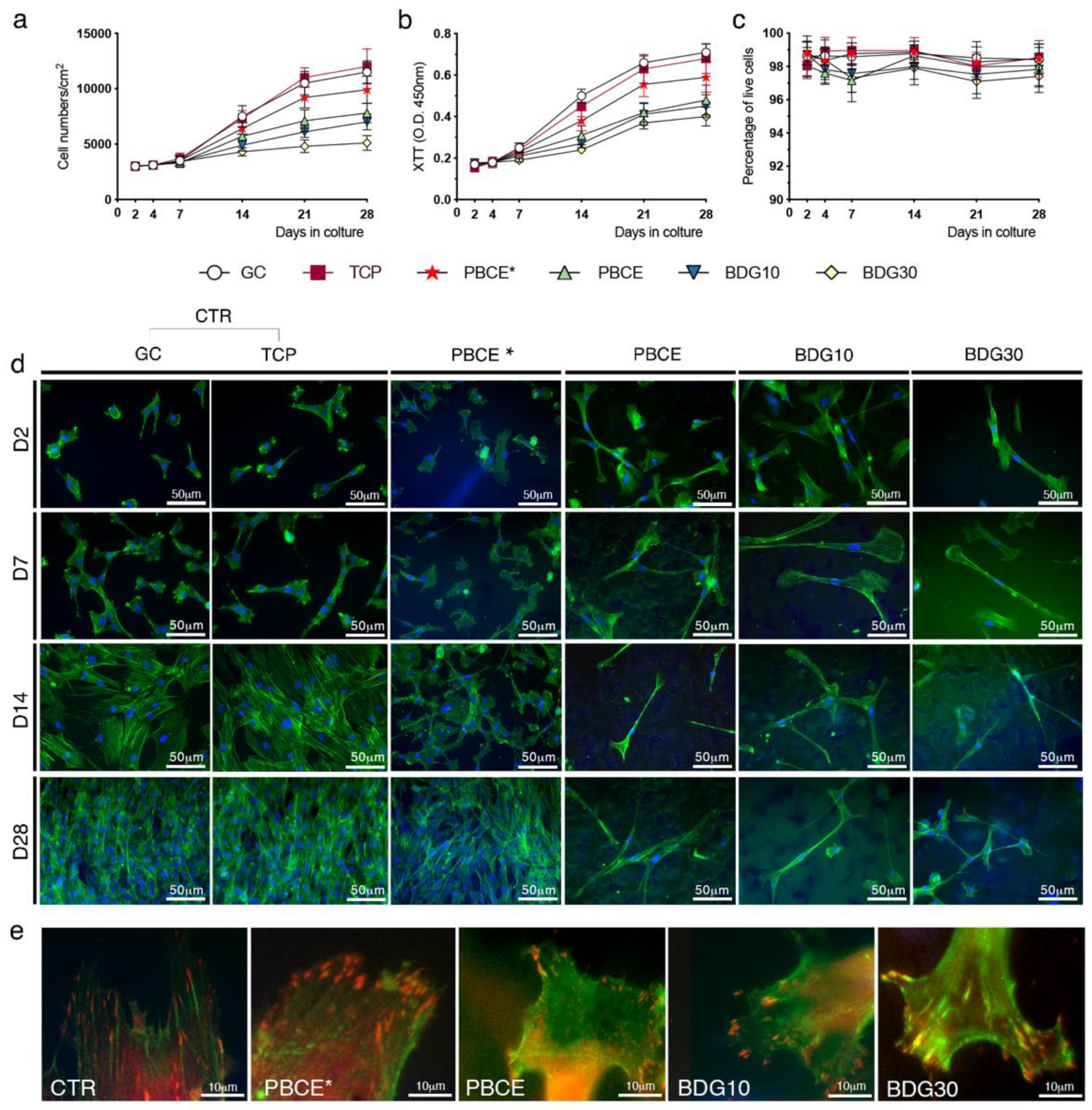 Ijms 21 09274 g002 Ijms 21 09274 g002
