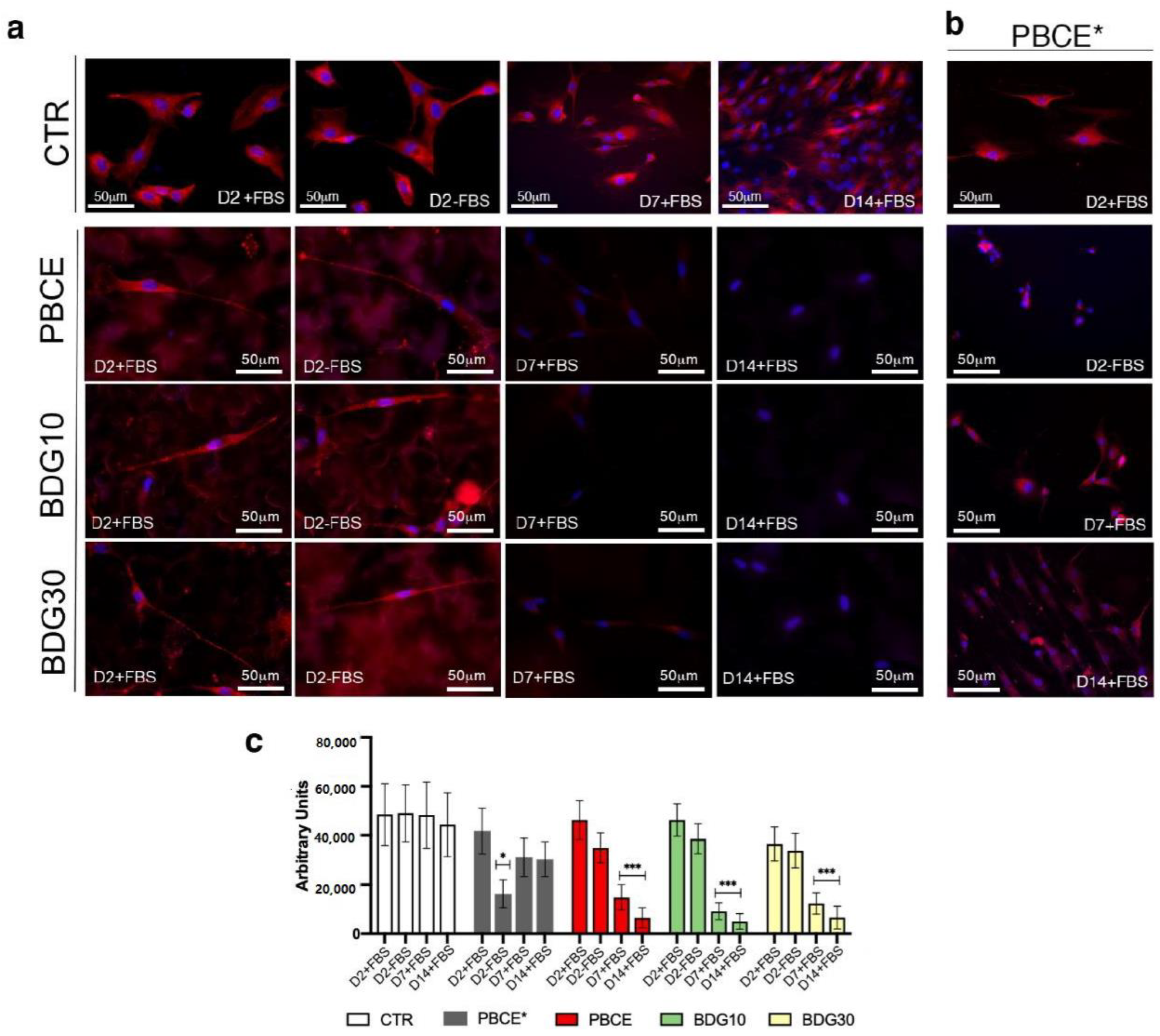 Ijms 21 09274 g006 Ijms 21 09274 g006