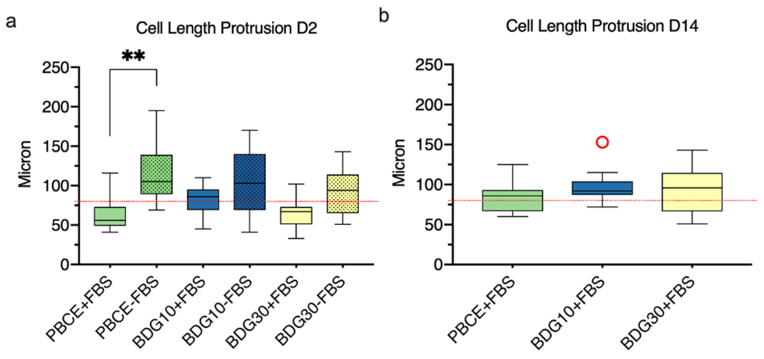 Ijms 21 09274 g008 Ijms 21 09274 g008