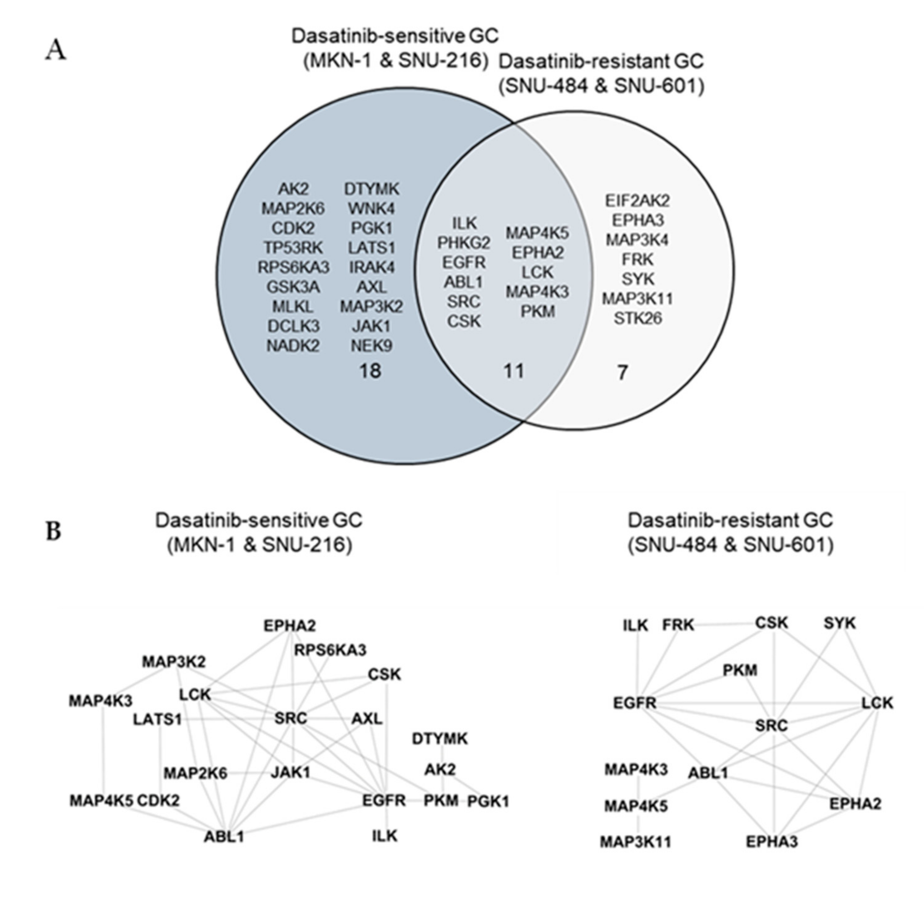 Ijms 21 09276 g004a Ijms 21 09276 g004a