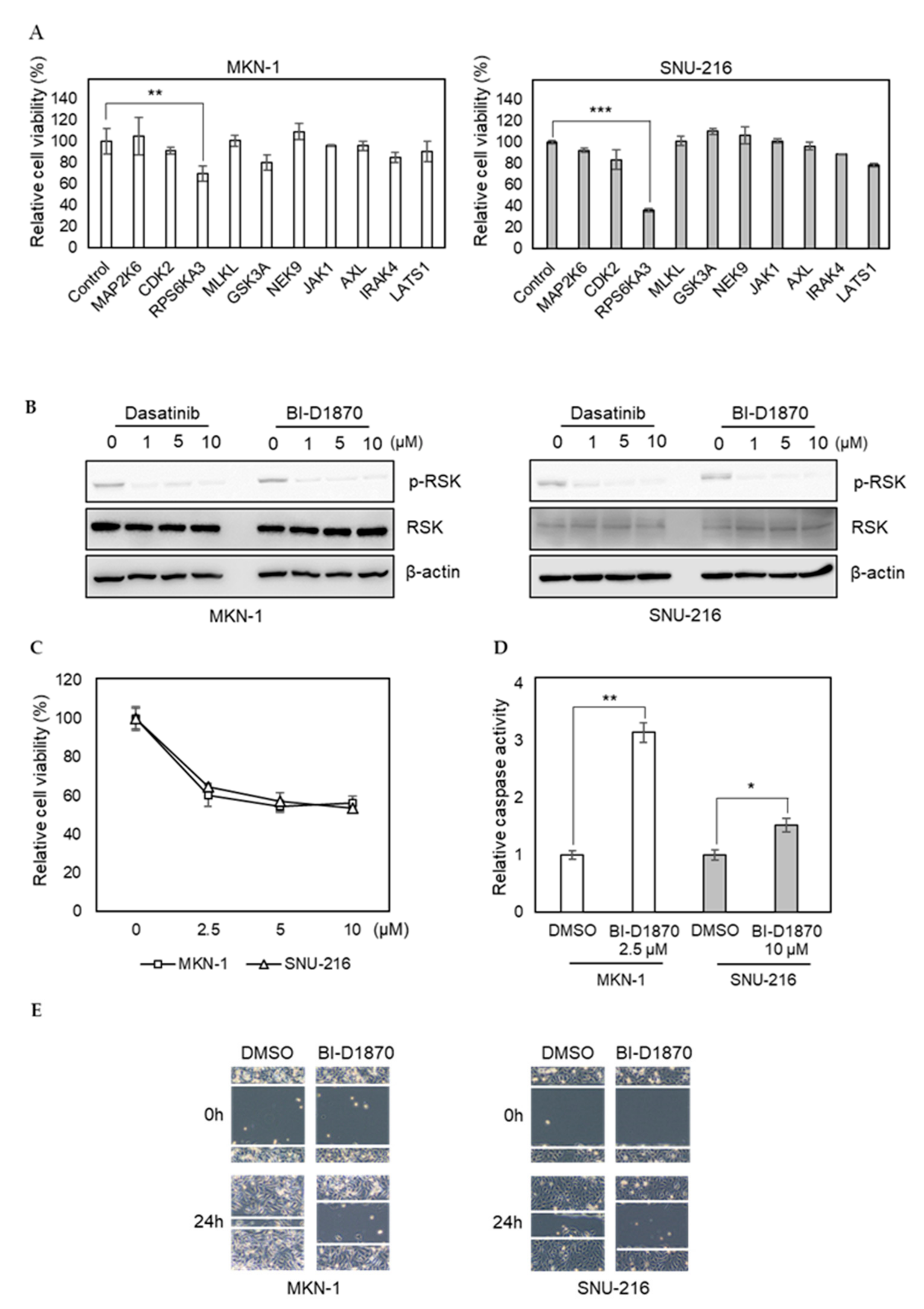 Ijms 21 09276 g005 Ijms 21 09276 g005