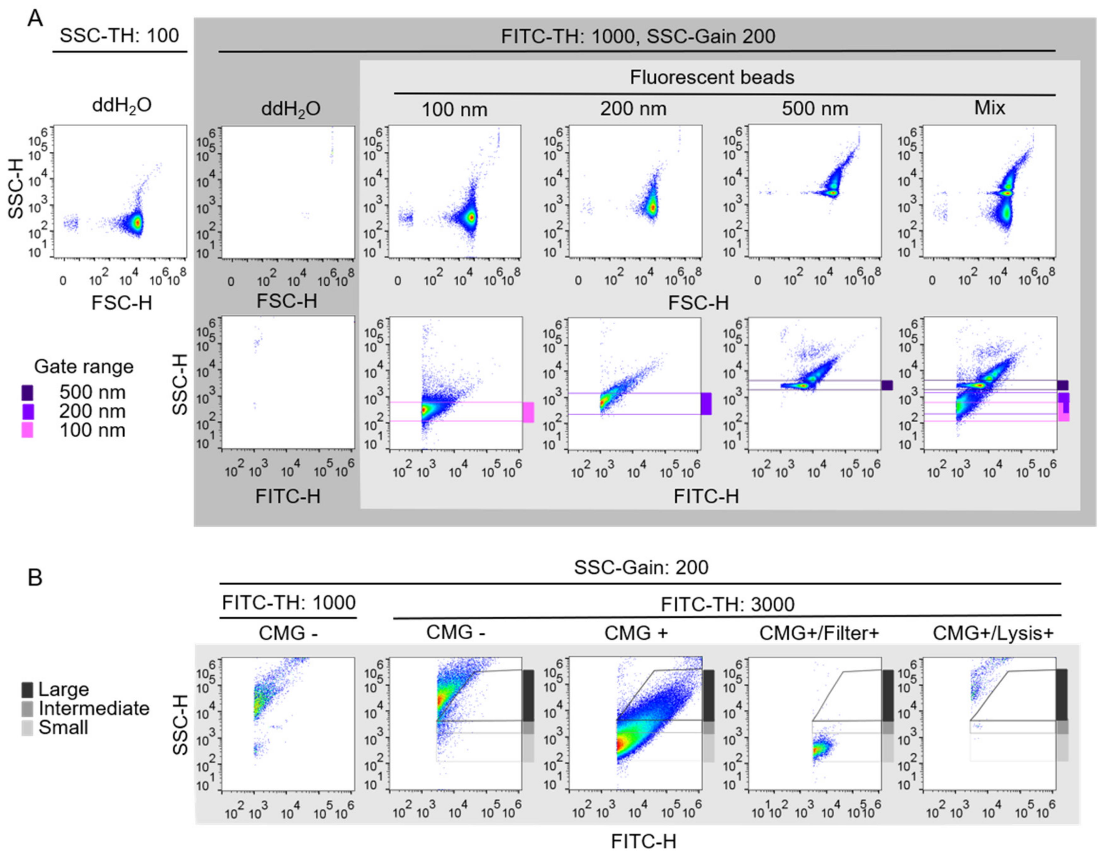 Ijms 21 09278 g002 Ijms 21 09278 g002