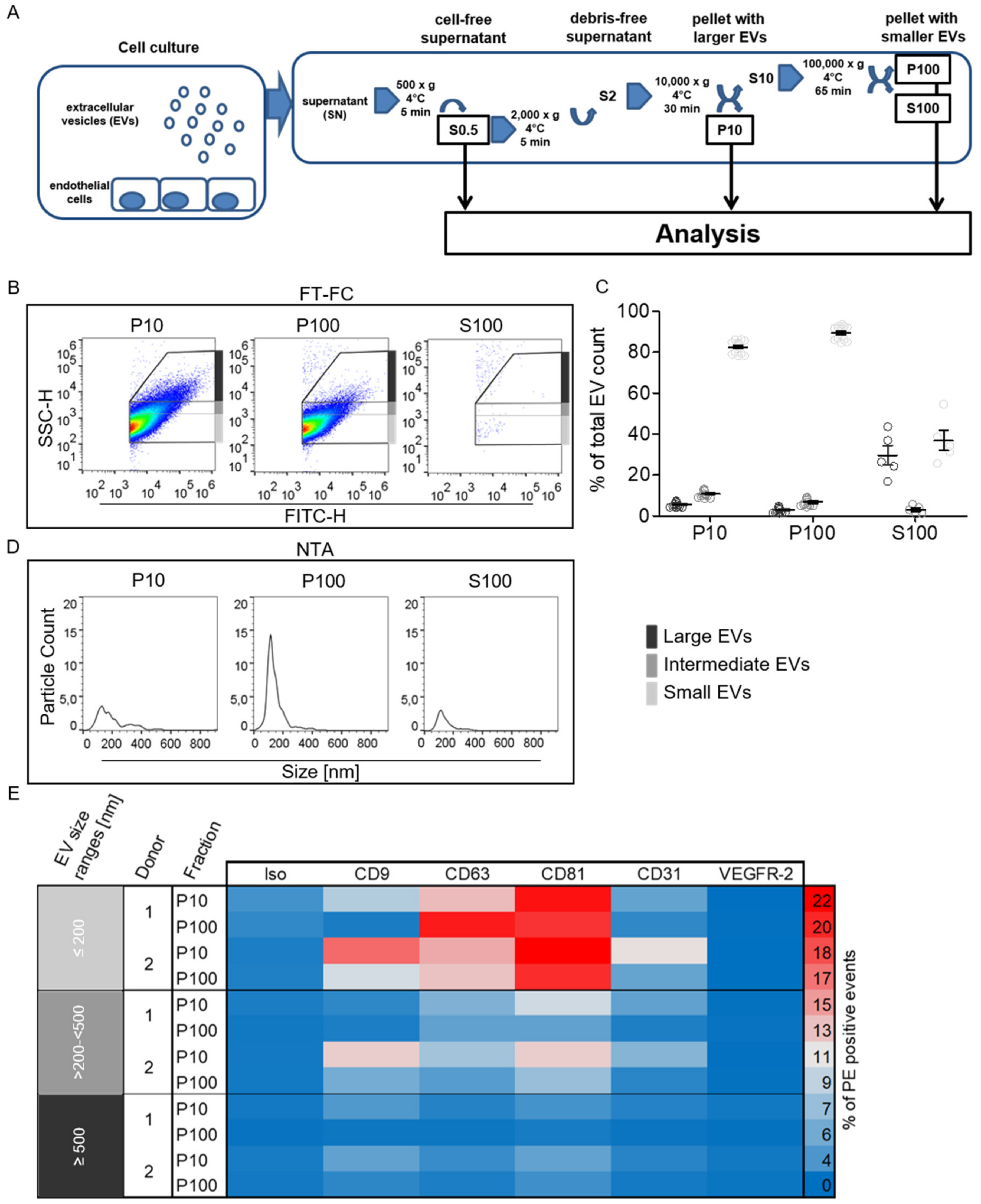 Ijms 21 09278 g003 Ijms 21 09278 g003