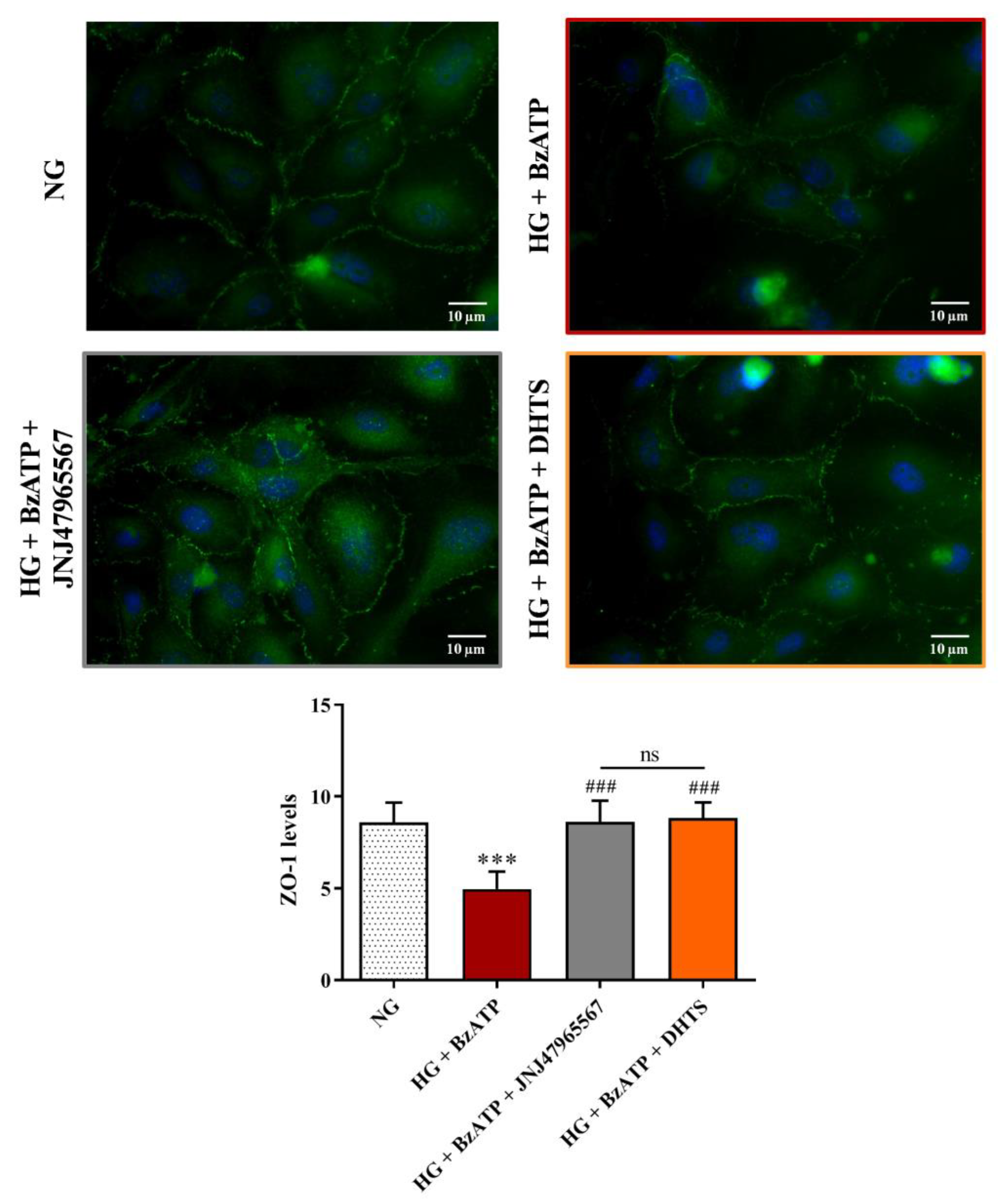 Ijms 21 09305 g004 Ijms 21 09305 g004