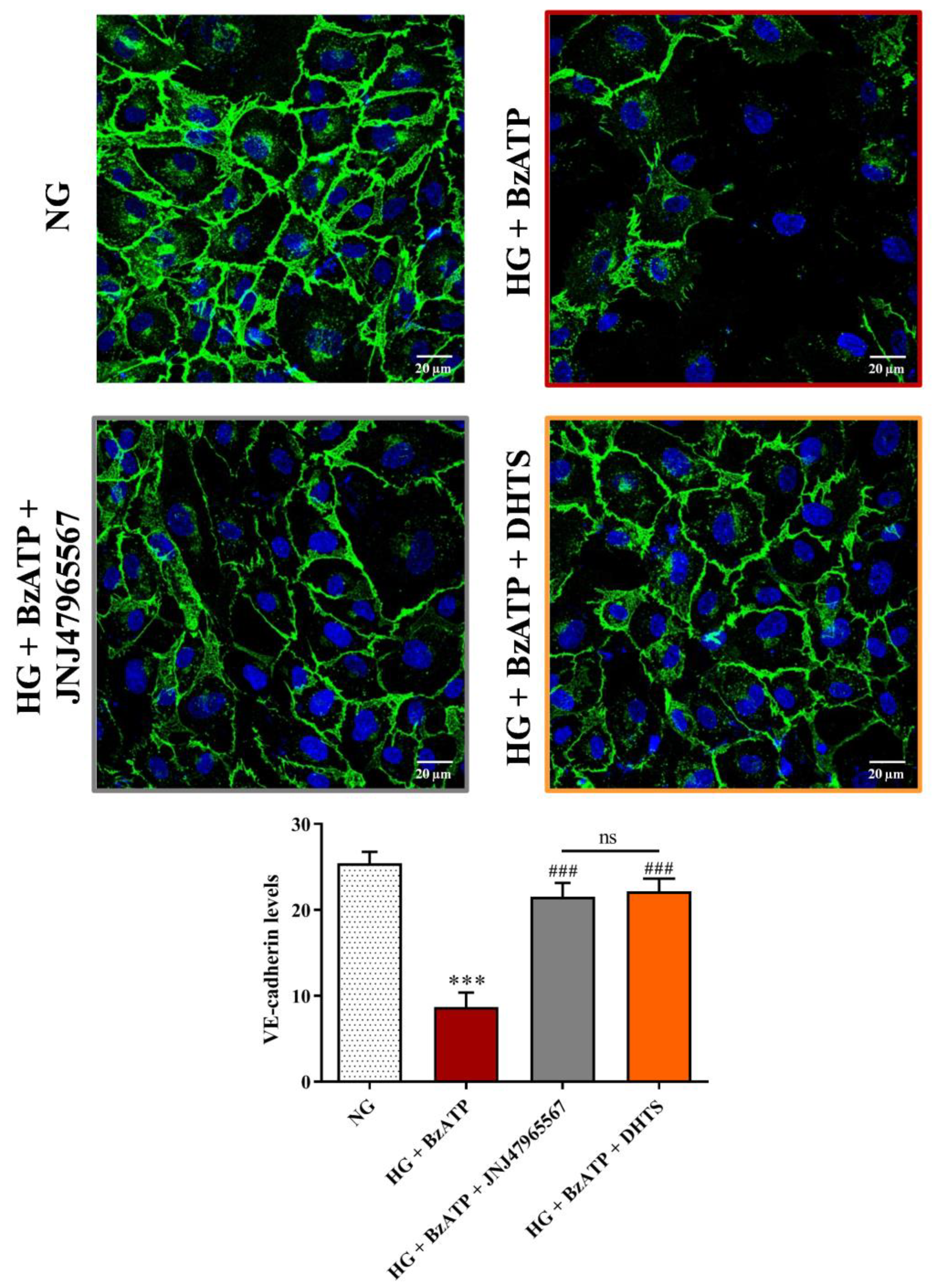 Ijms 21 09305 g005 Ijms 21 09305 g005