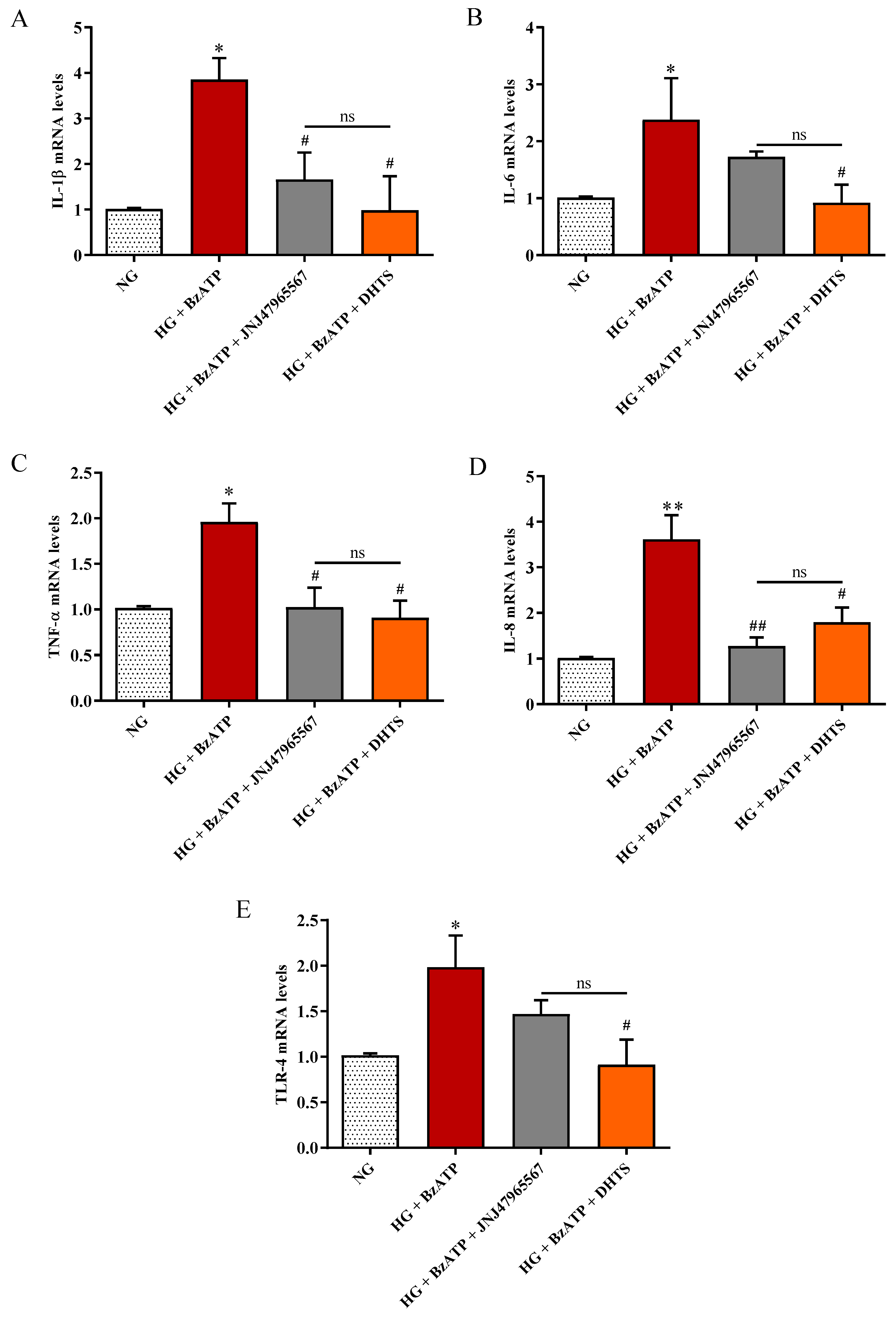 Ijms 21 09305 g007 Ijms 21 09305 g007