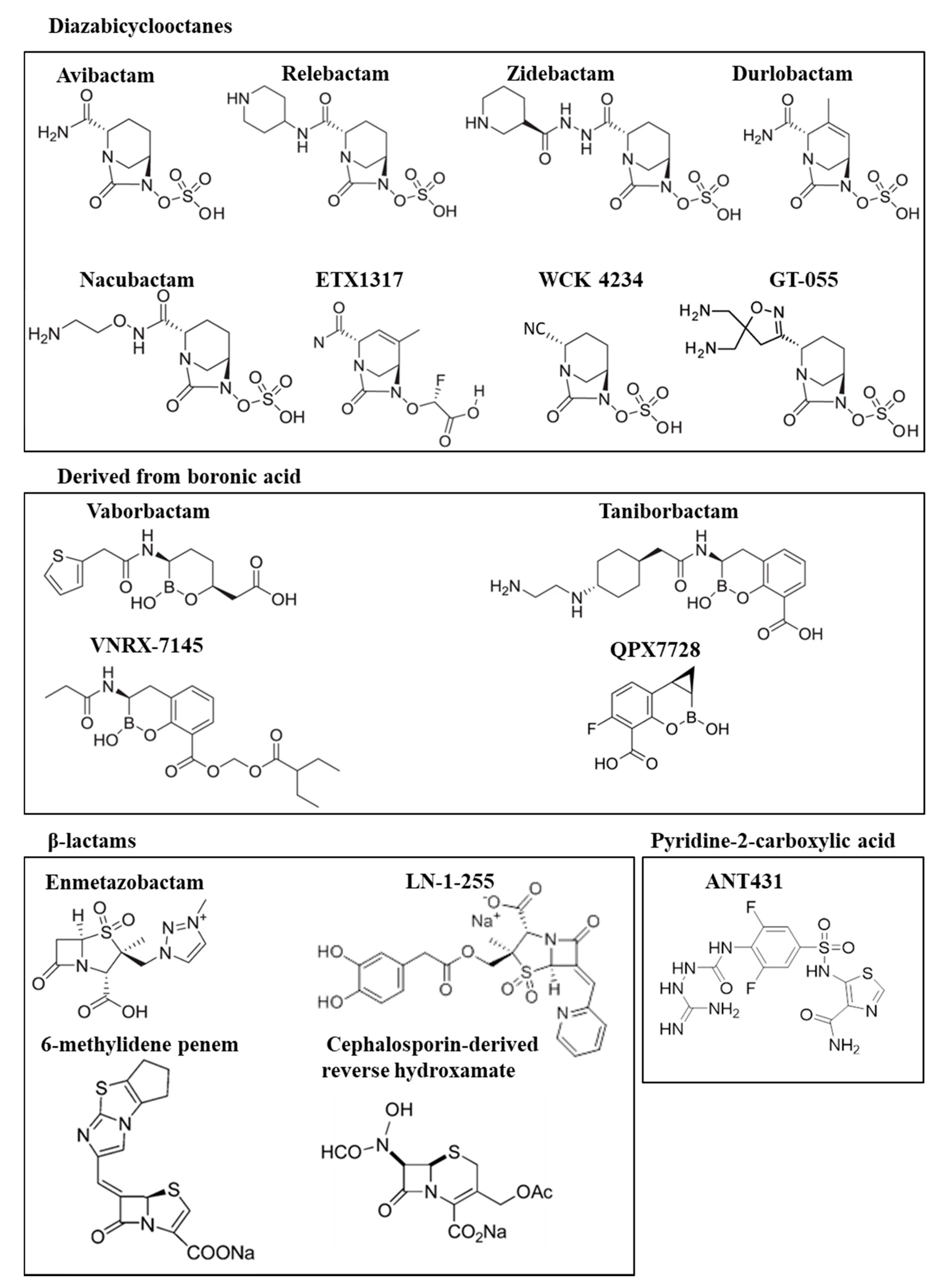 Ijms 21 09308 g001 Ijms 21 09308 g001