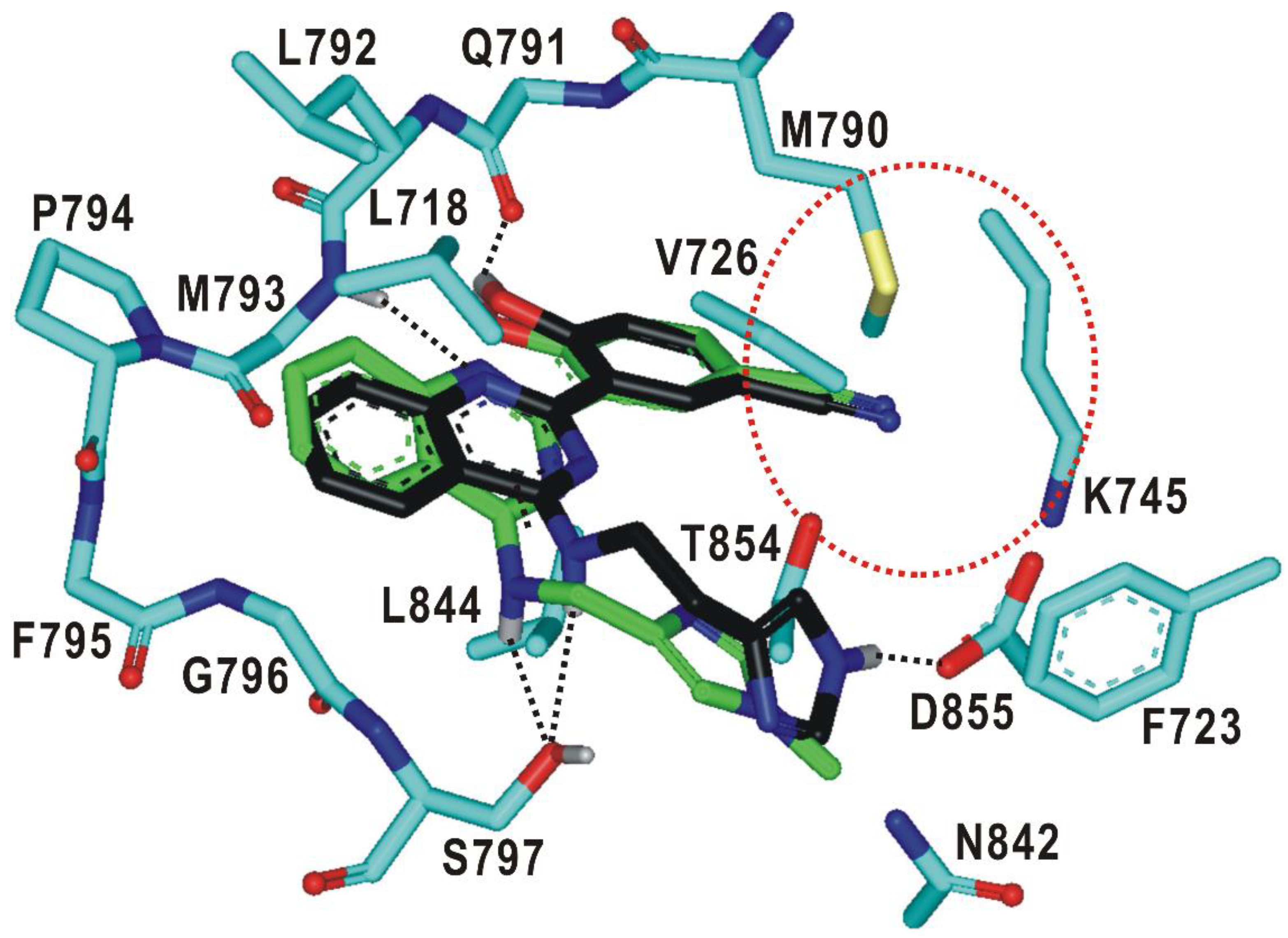 Ijms 21 09323 g006 Ijms 21 09323 g006