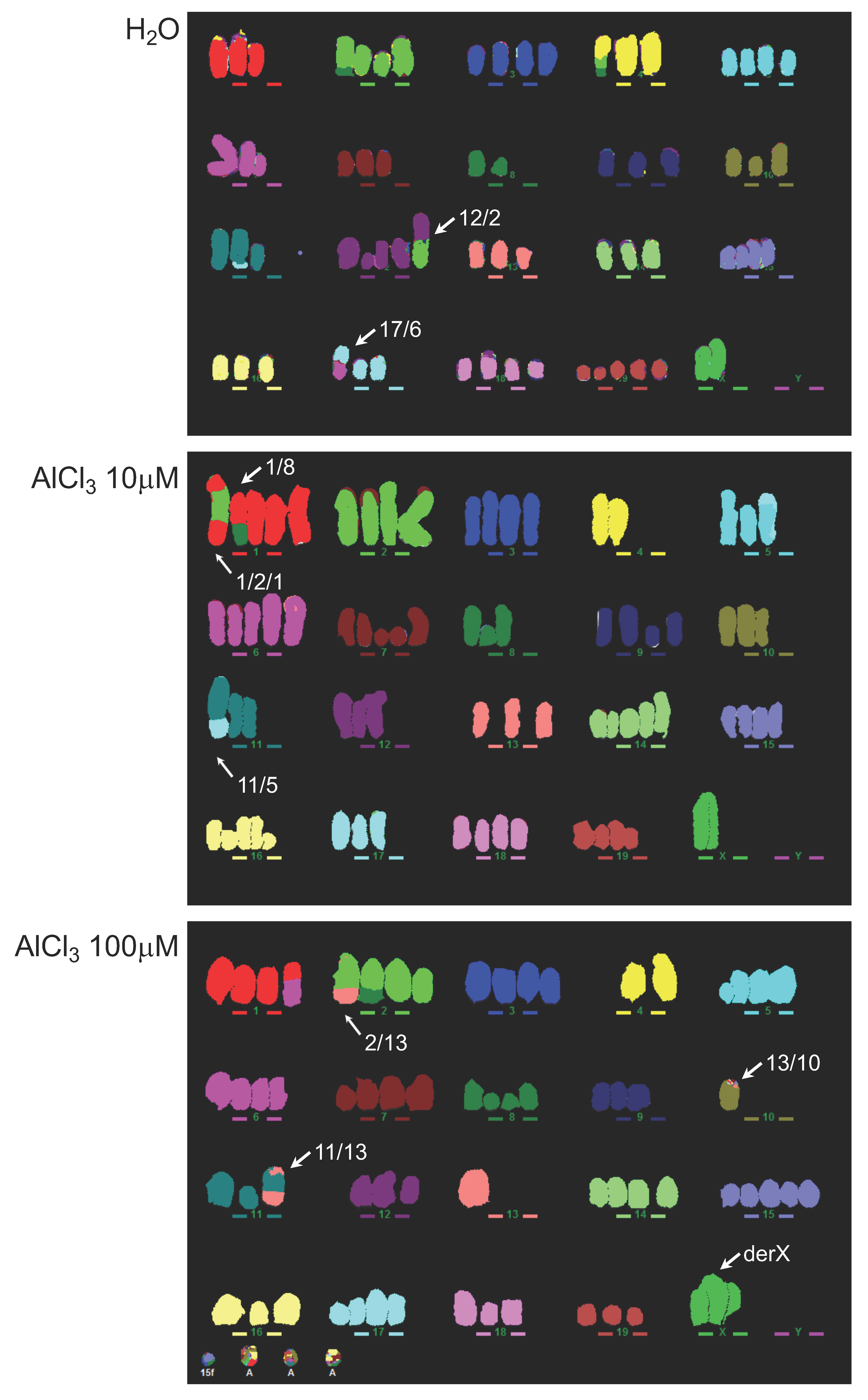 Ijms 21 09332 g003 Ijms 21 09332 g003