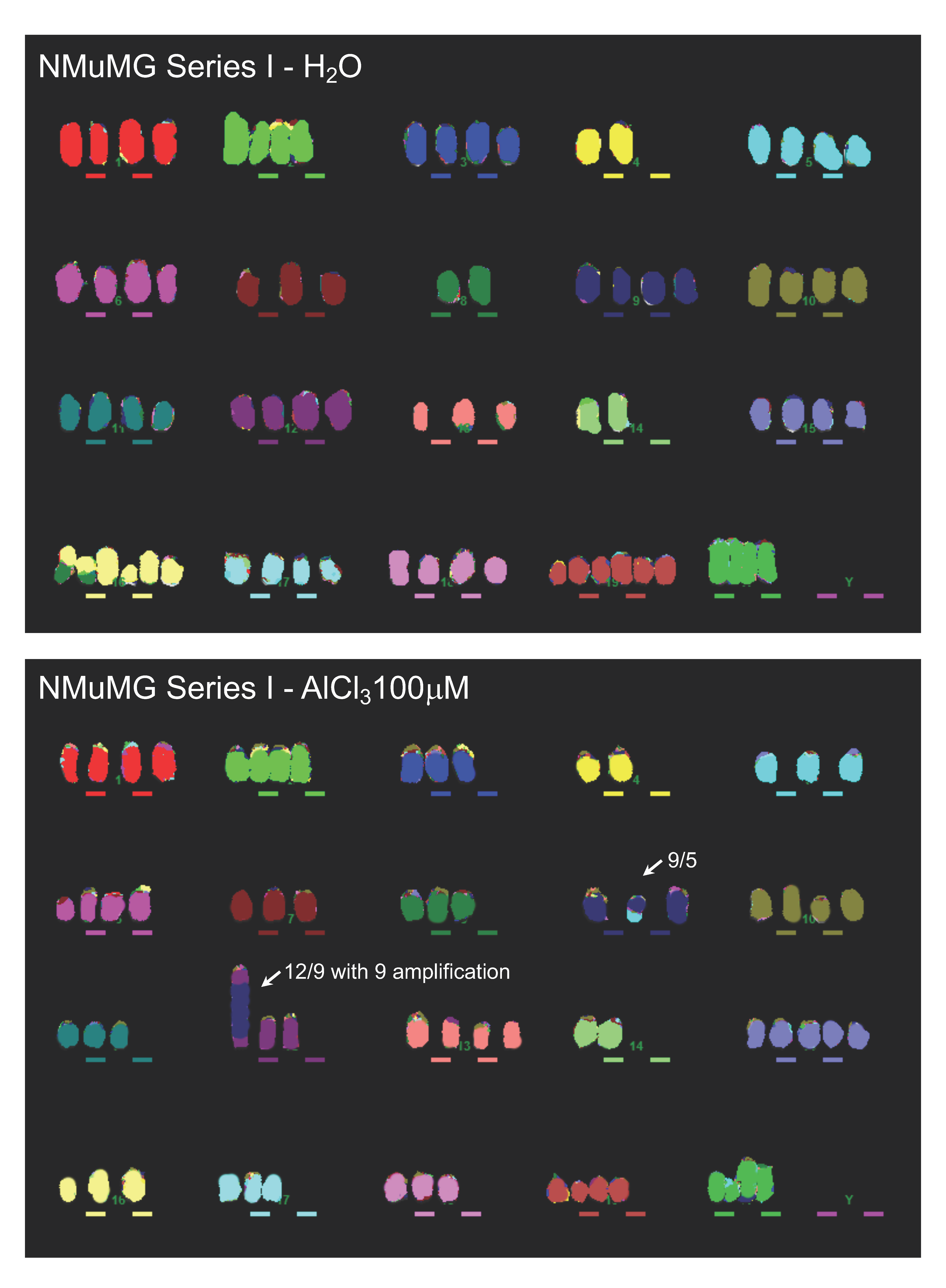 Ijms 21 09332 g004 Ijms 21 09332 g004