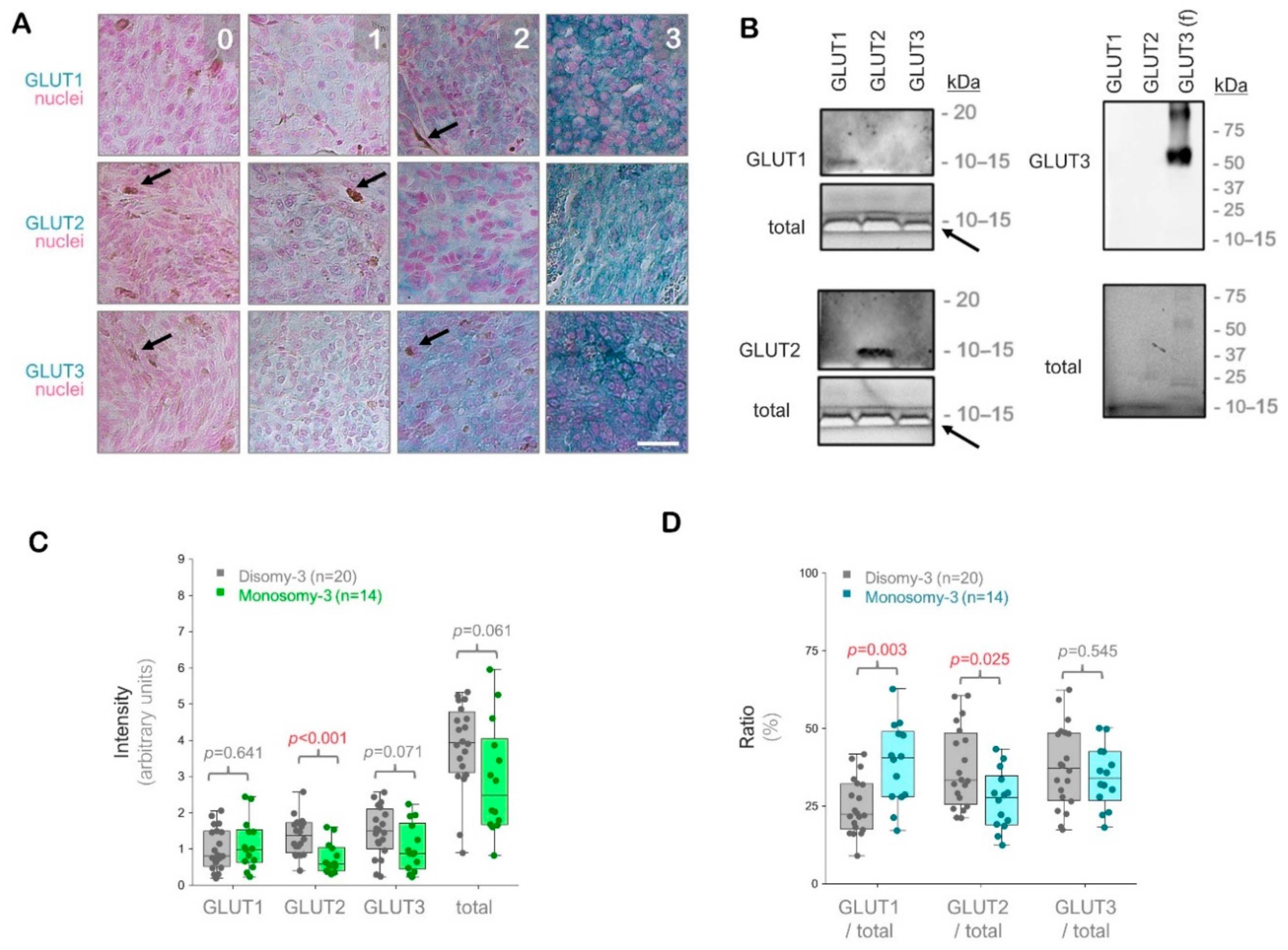 Ijms 21 09345 g001 Ijms 21 09345 g001